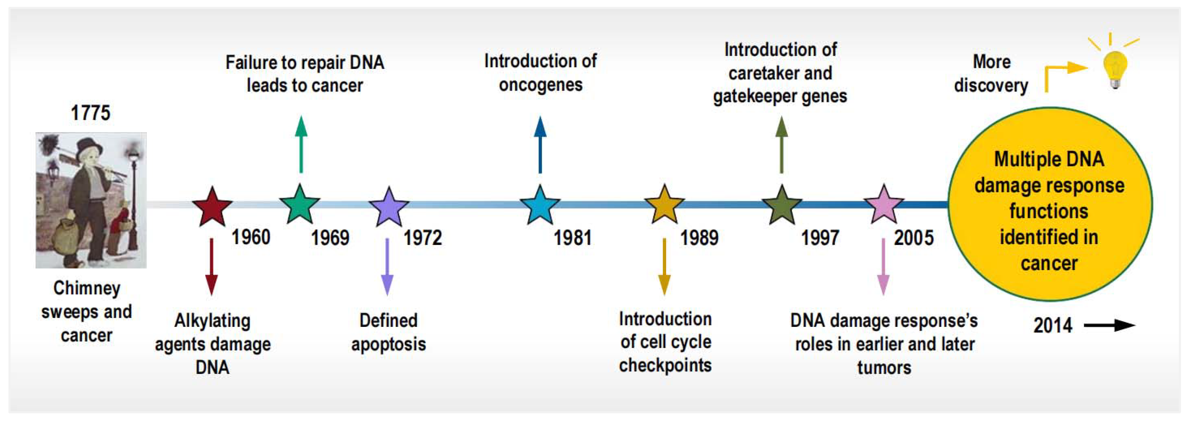 Cancers 16 03106 g001