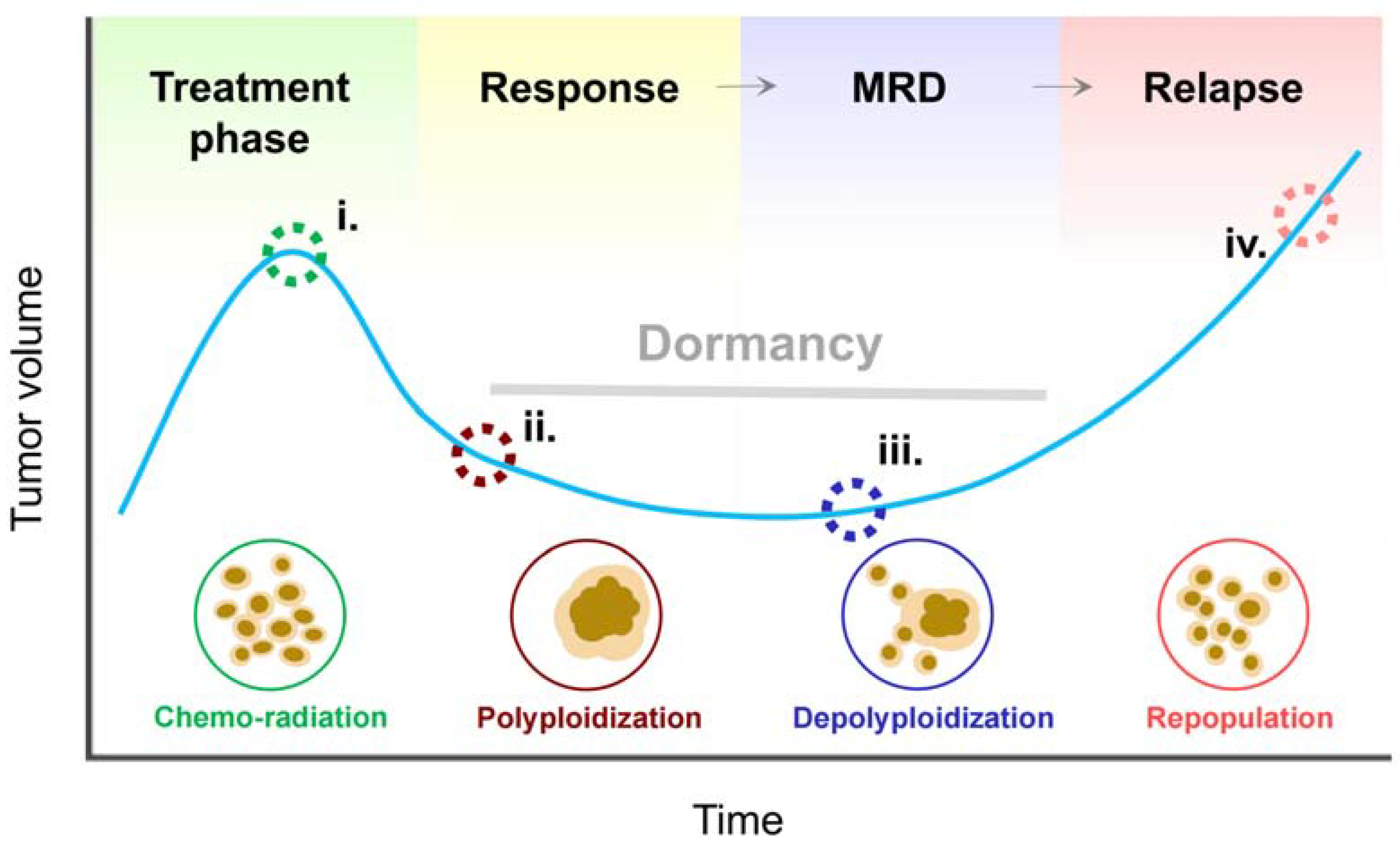 Cancers 16 03106 g003