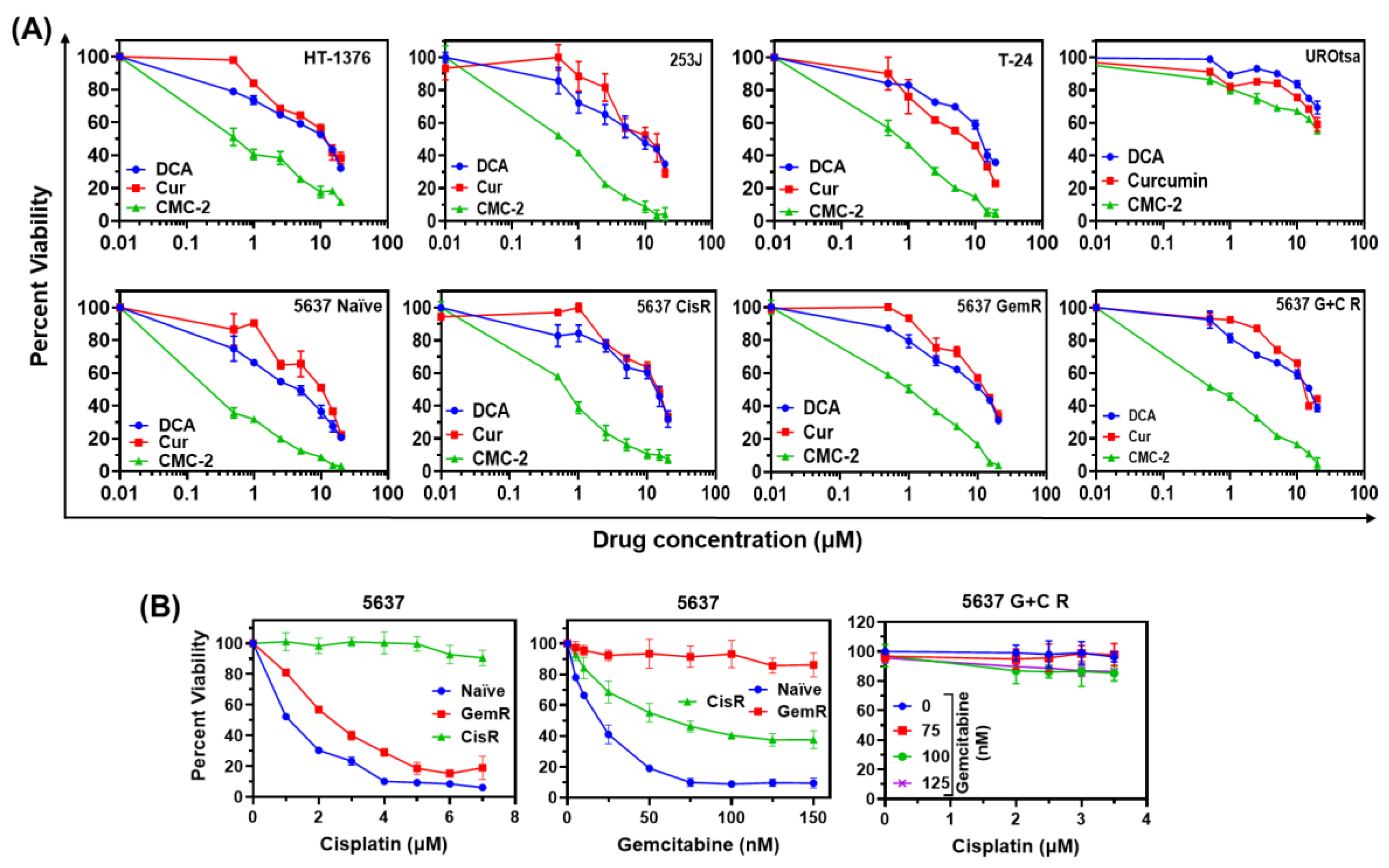 Cancers 16 03108 g002