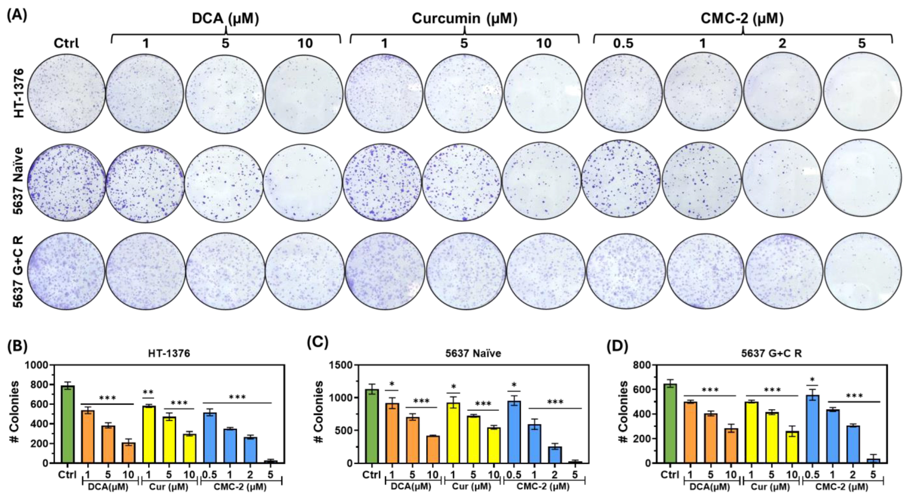 Cancers 16 03108 g003
