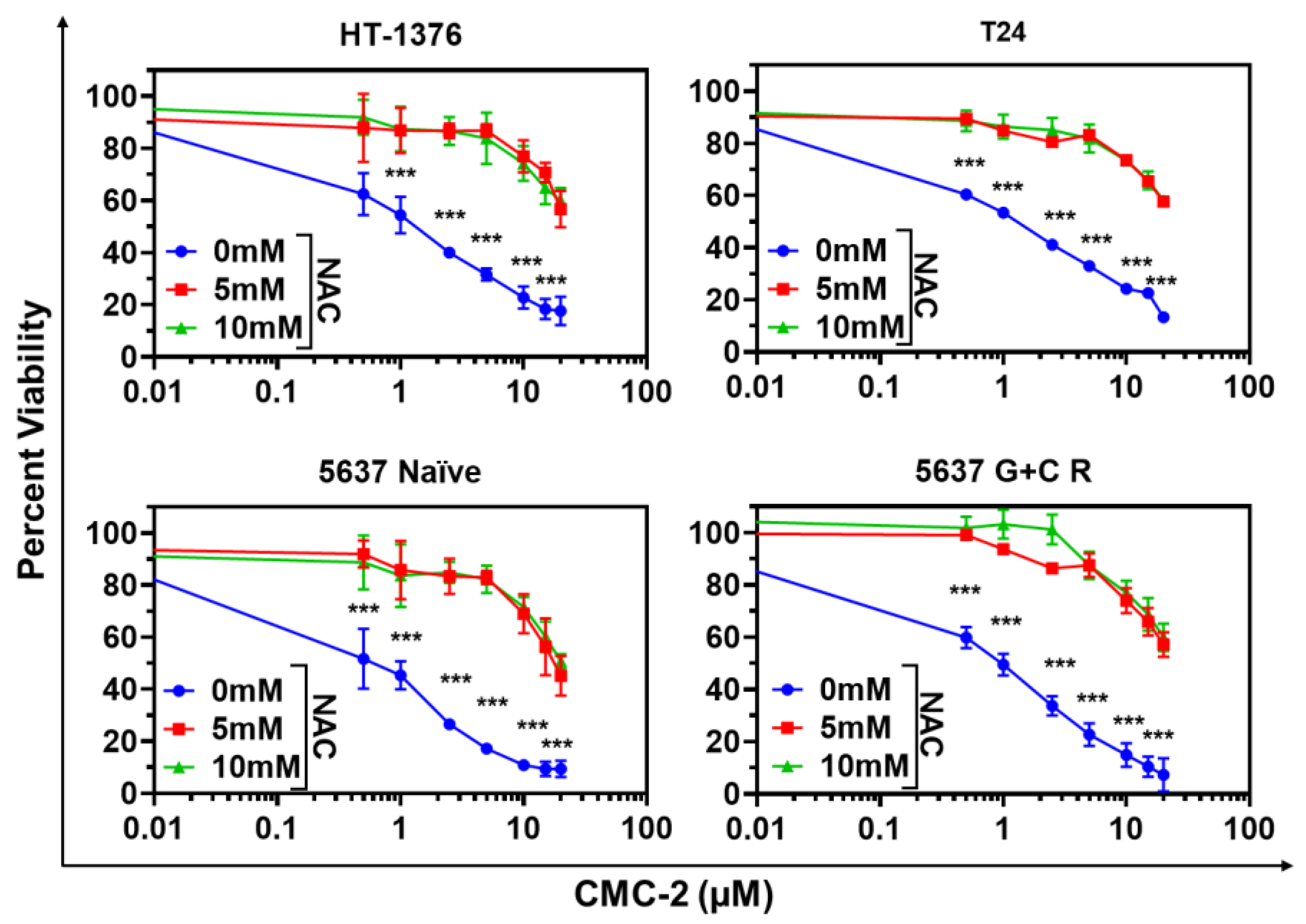 Cancers 16 03108 g007