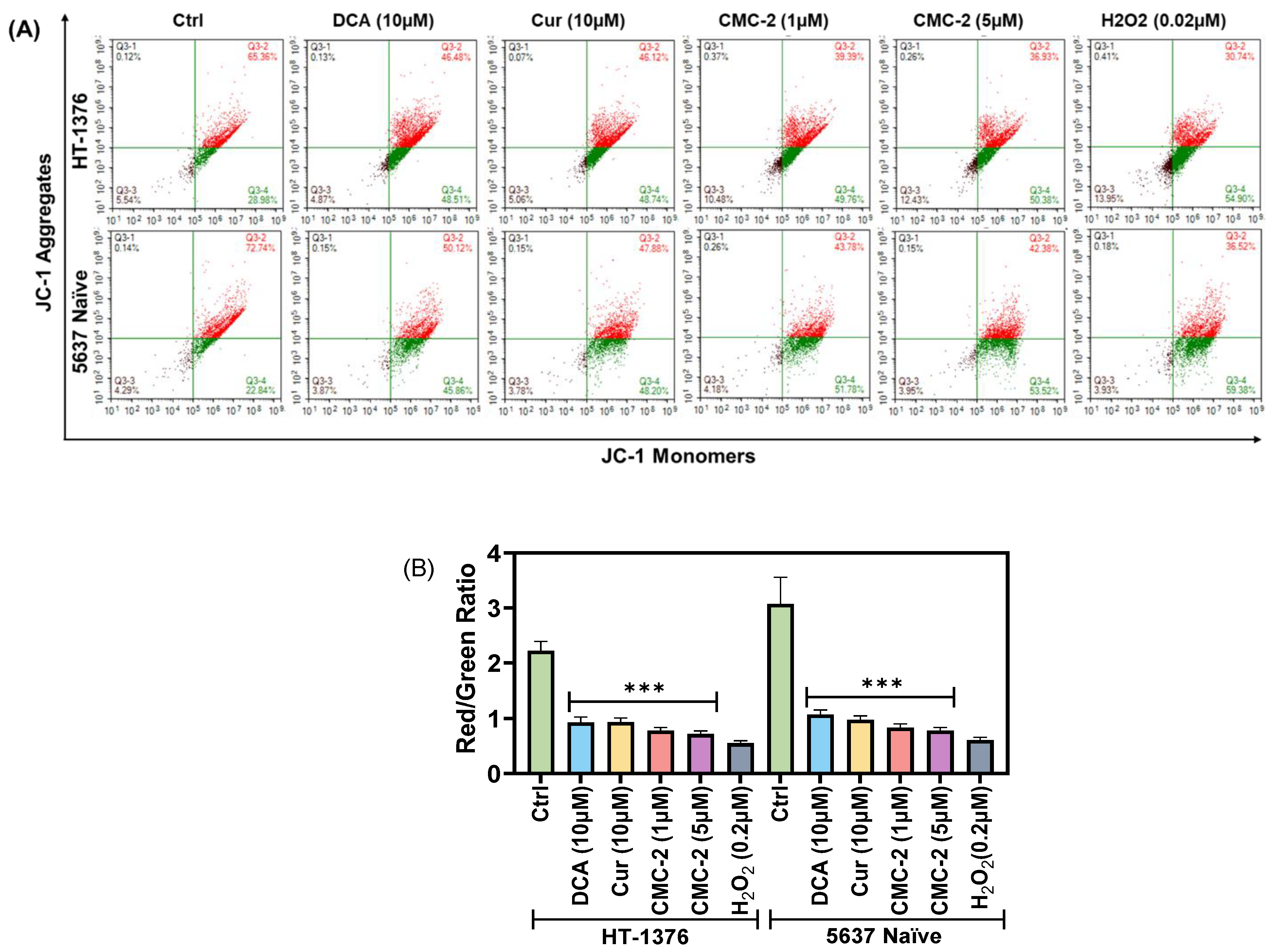 Cancers 16 03108 g008