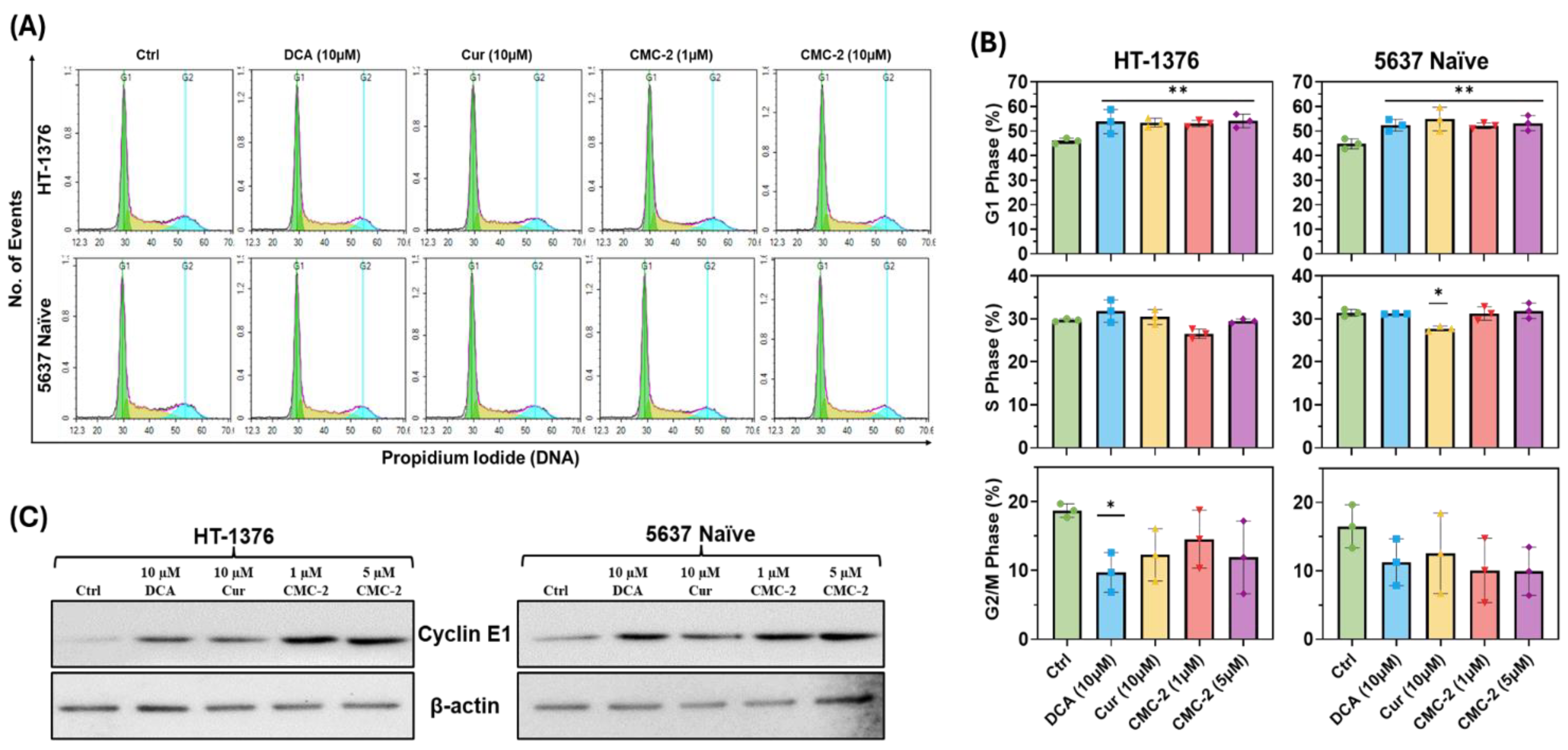 Cancers 16 03108 g009