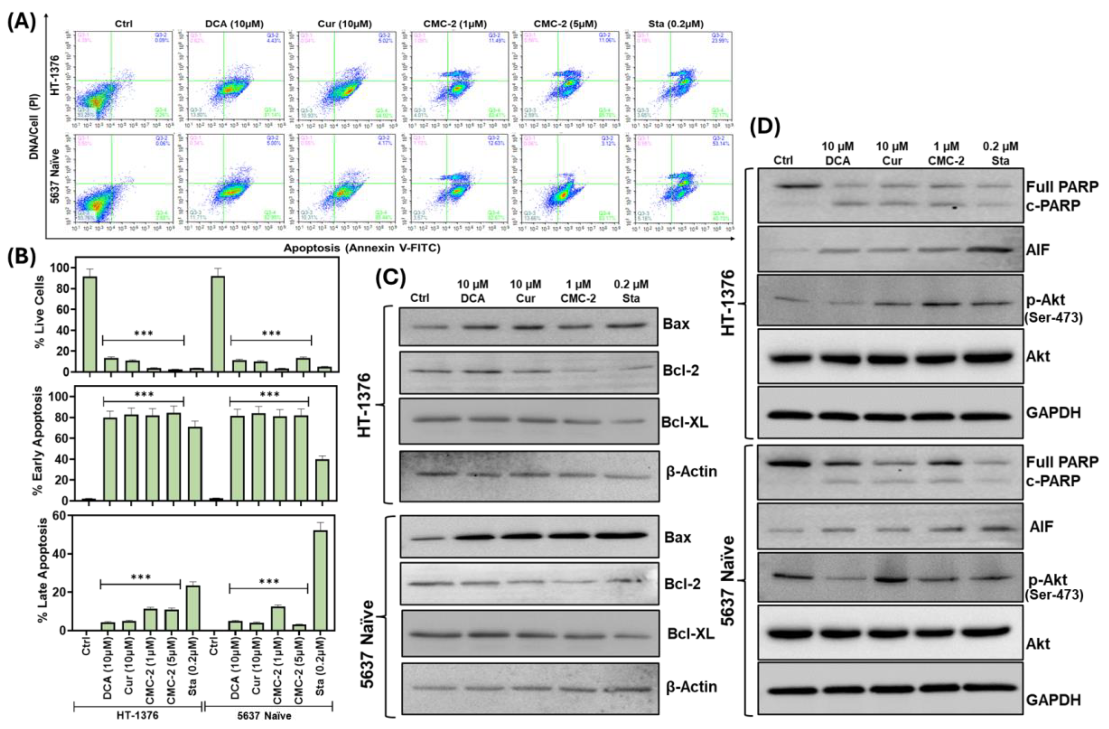 Cancers 16 03108 g010