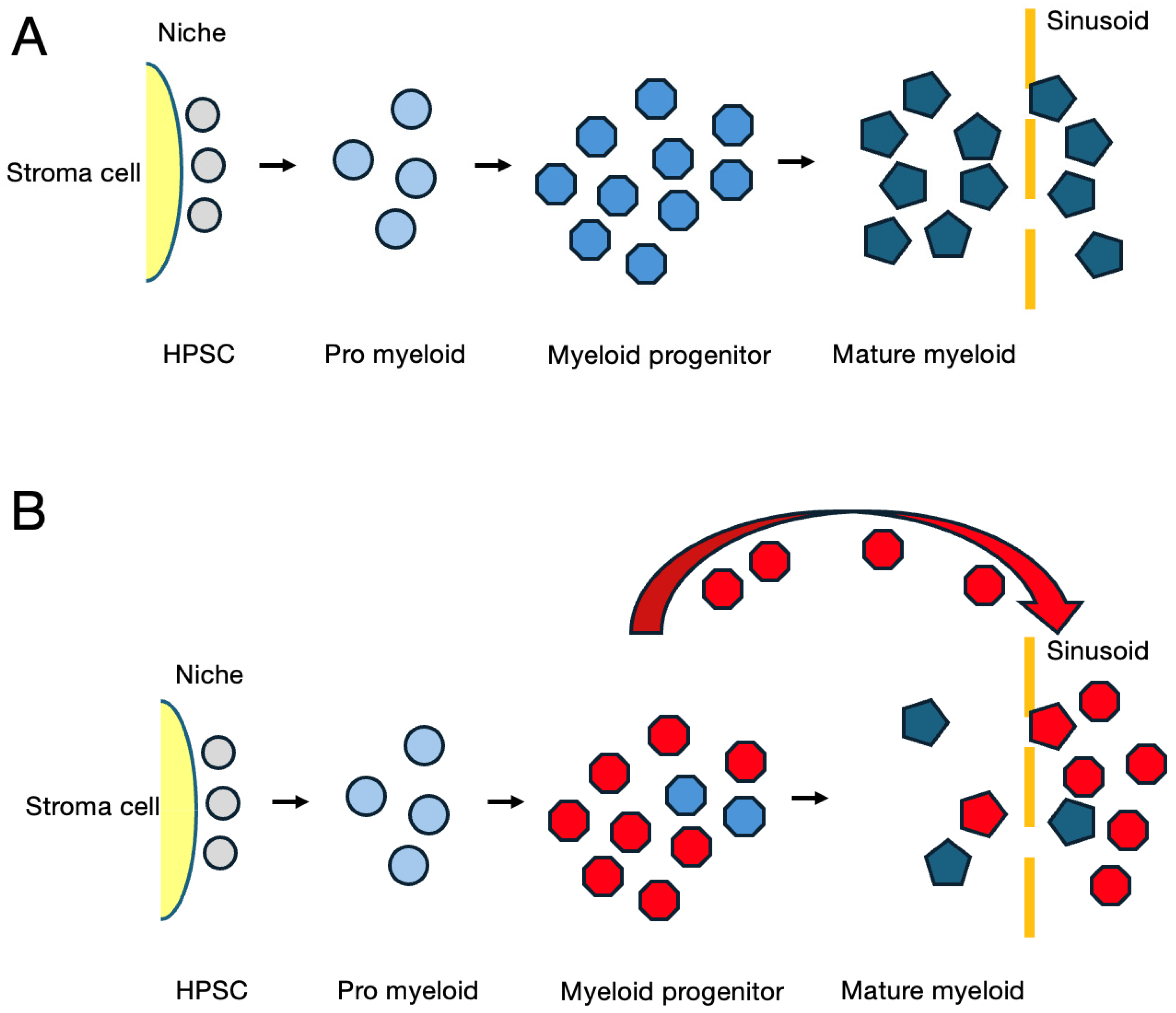 Cancers 16 03109 g001 Cancers 16 03109 g001