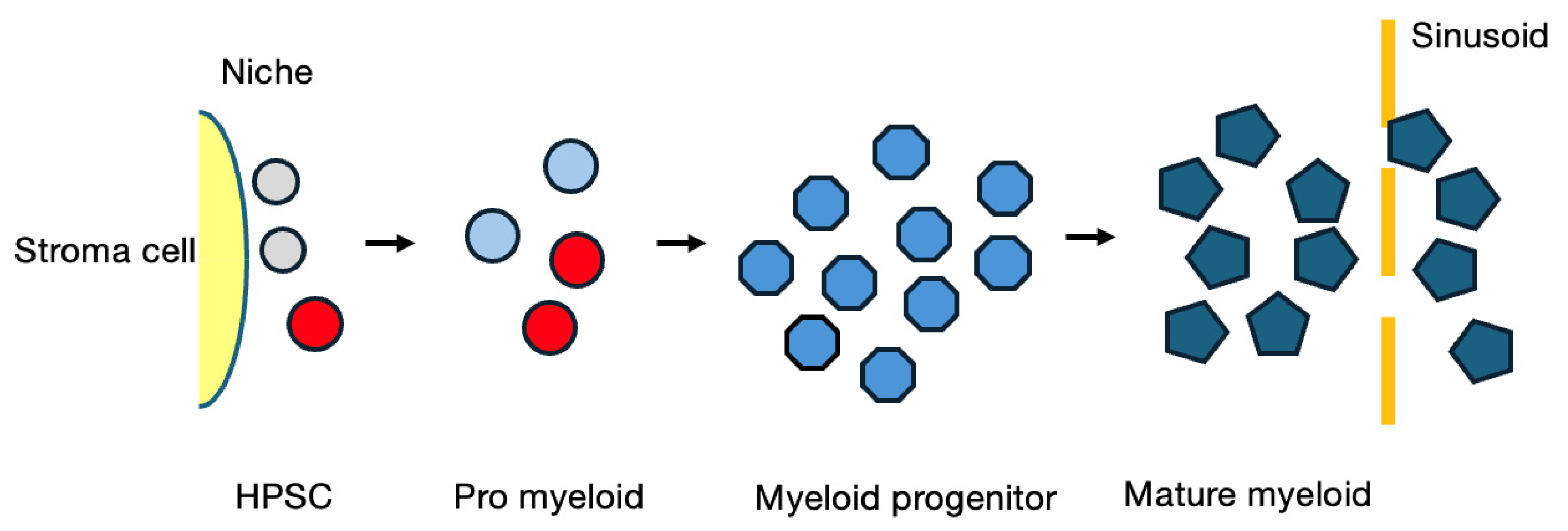 Cancers 16 03109 g003 Cancers 16 03109 g003