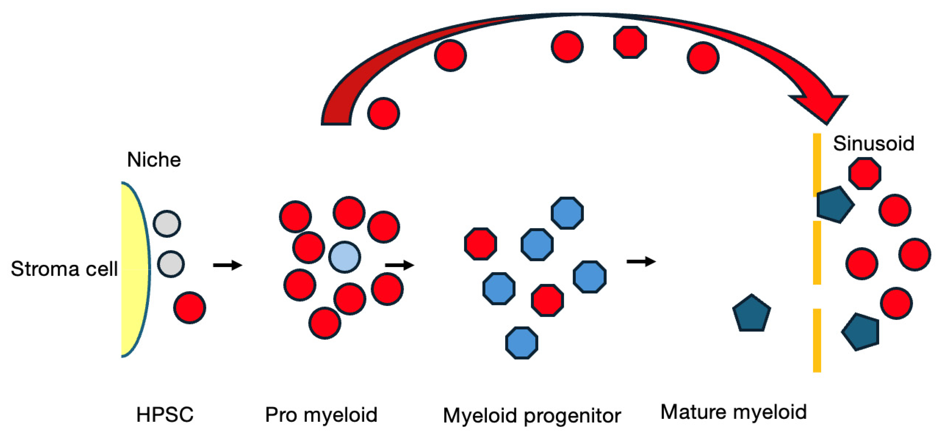 Cancers 16 03109 g004 Cancers 16 03109 g004