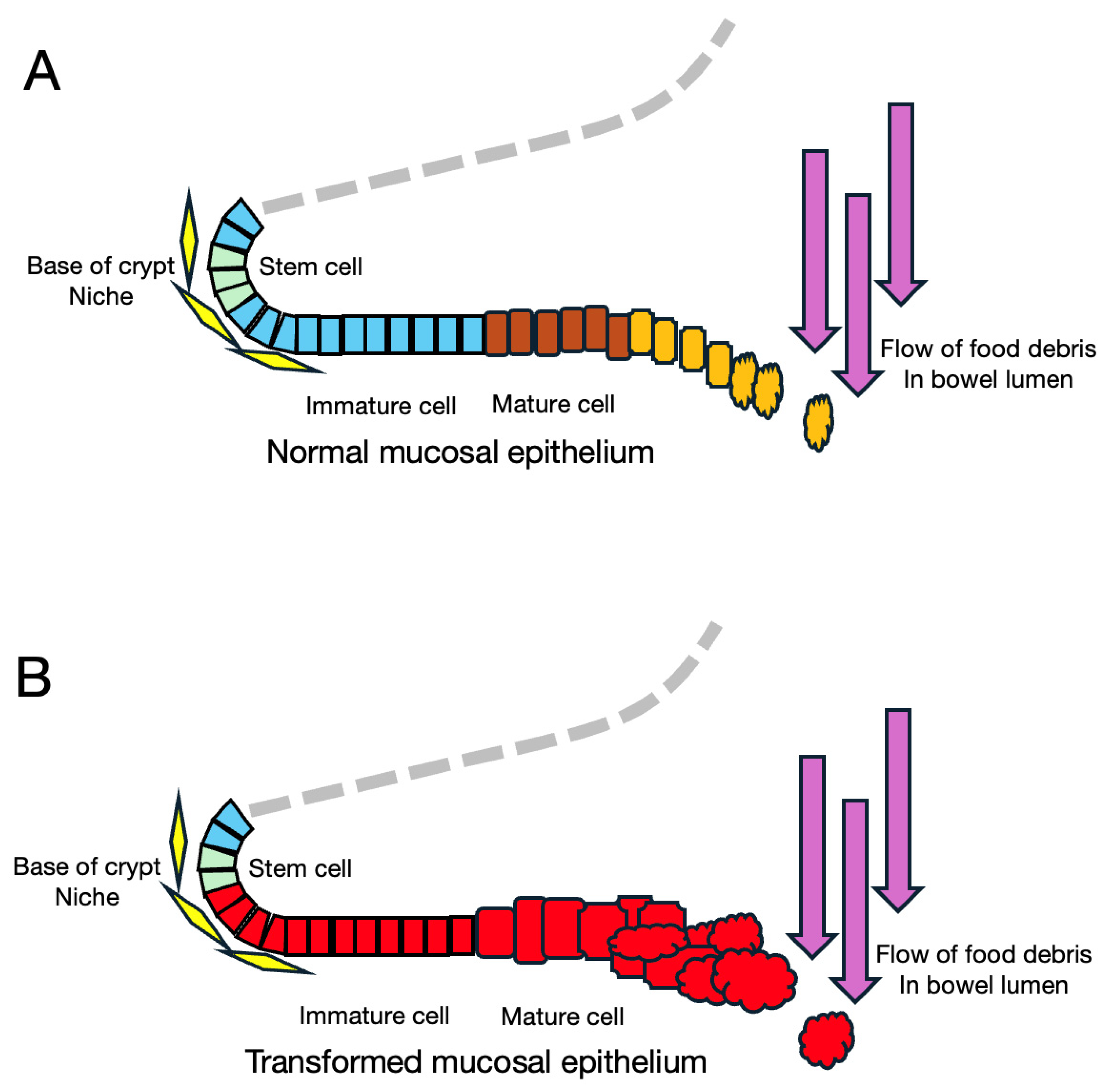Cancers 16 03109 g005 Cancers 16 03109 g005
