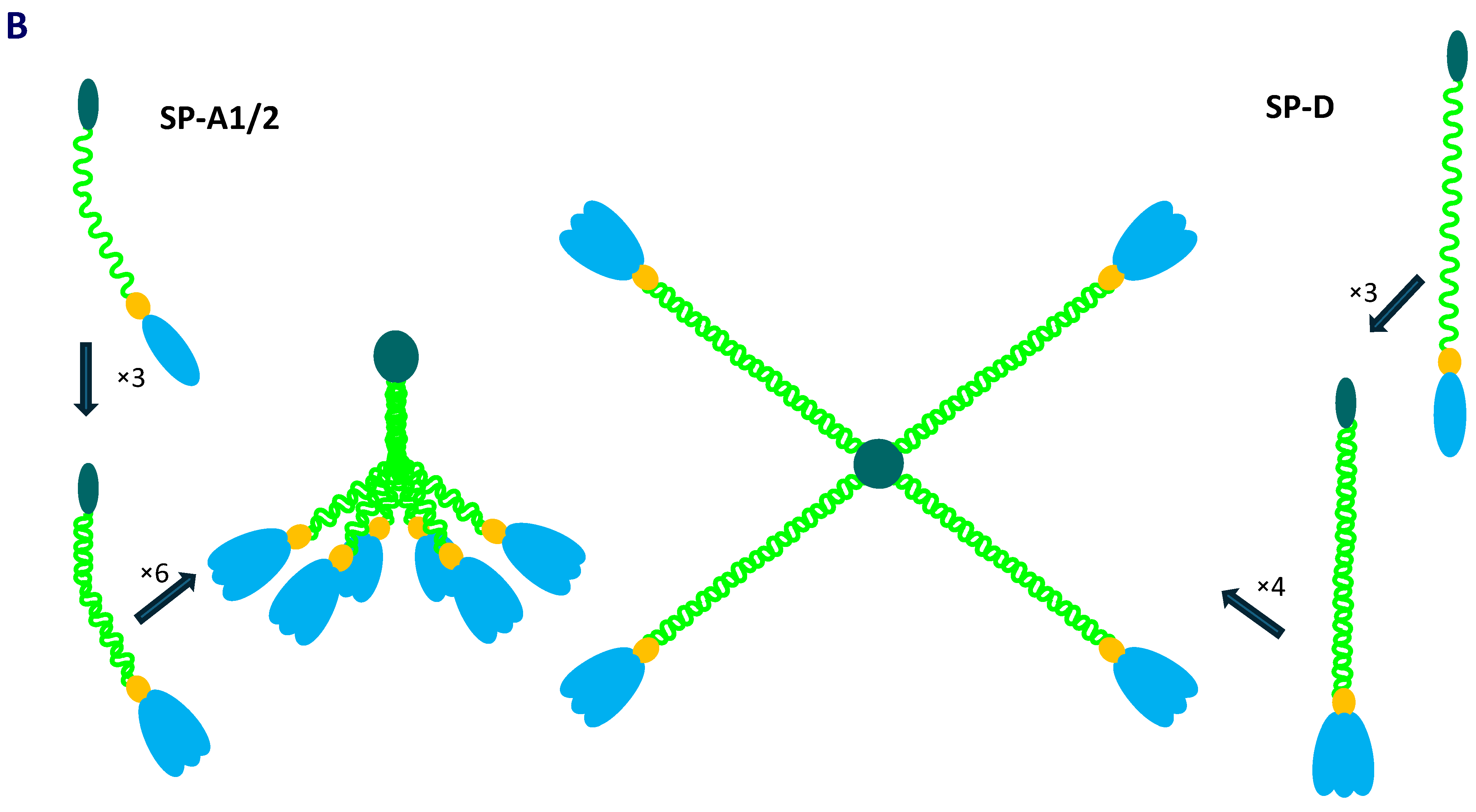 Cancers 16 03116 g001b Cancers 16 03116 g001b