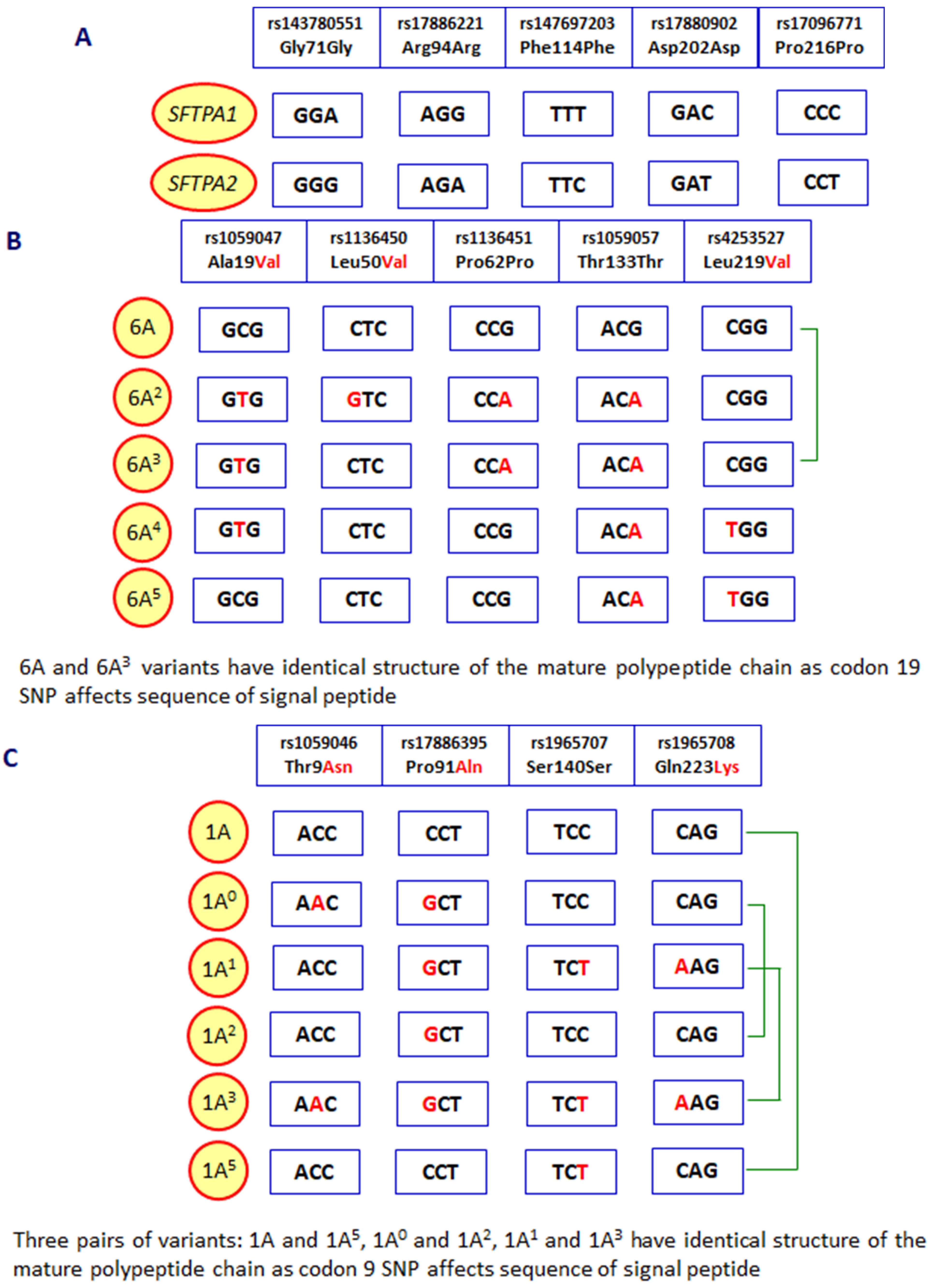 Cancers 16 03116 g002 Cancers 16 03116 g002