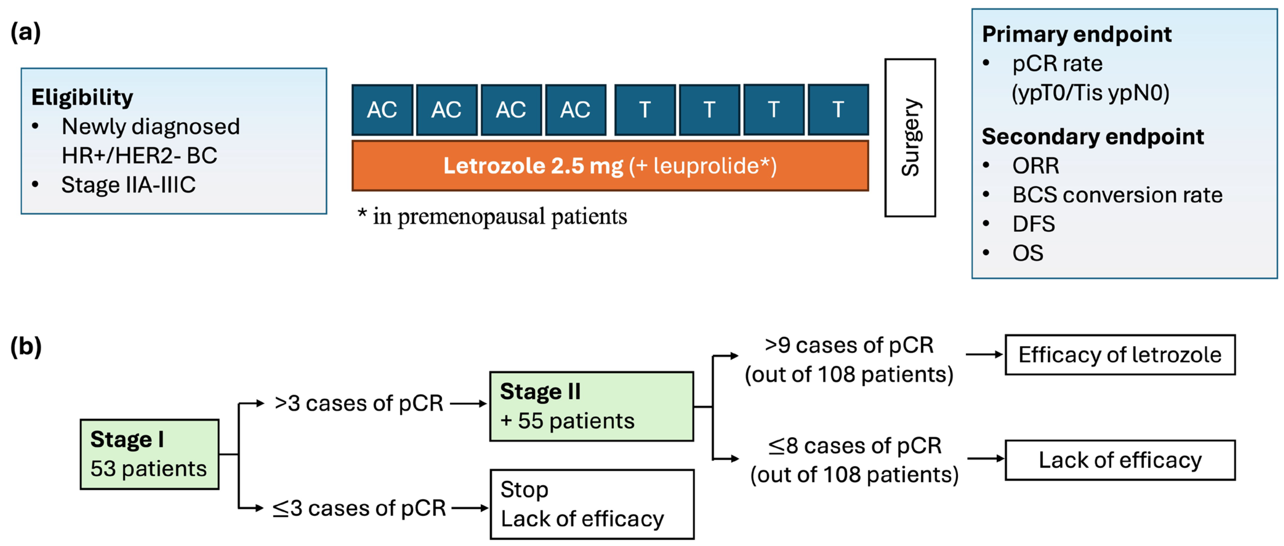 Cancers 16 03122 g001