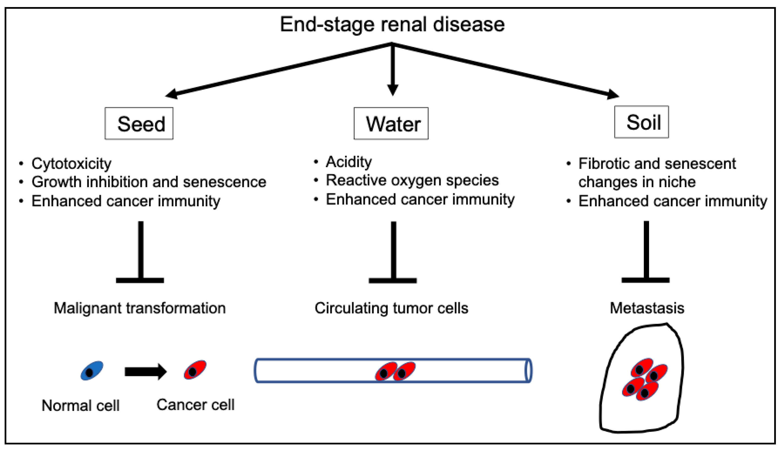 Cancers 16 03135 g002