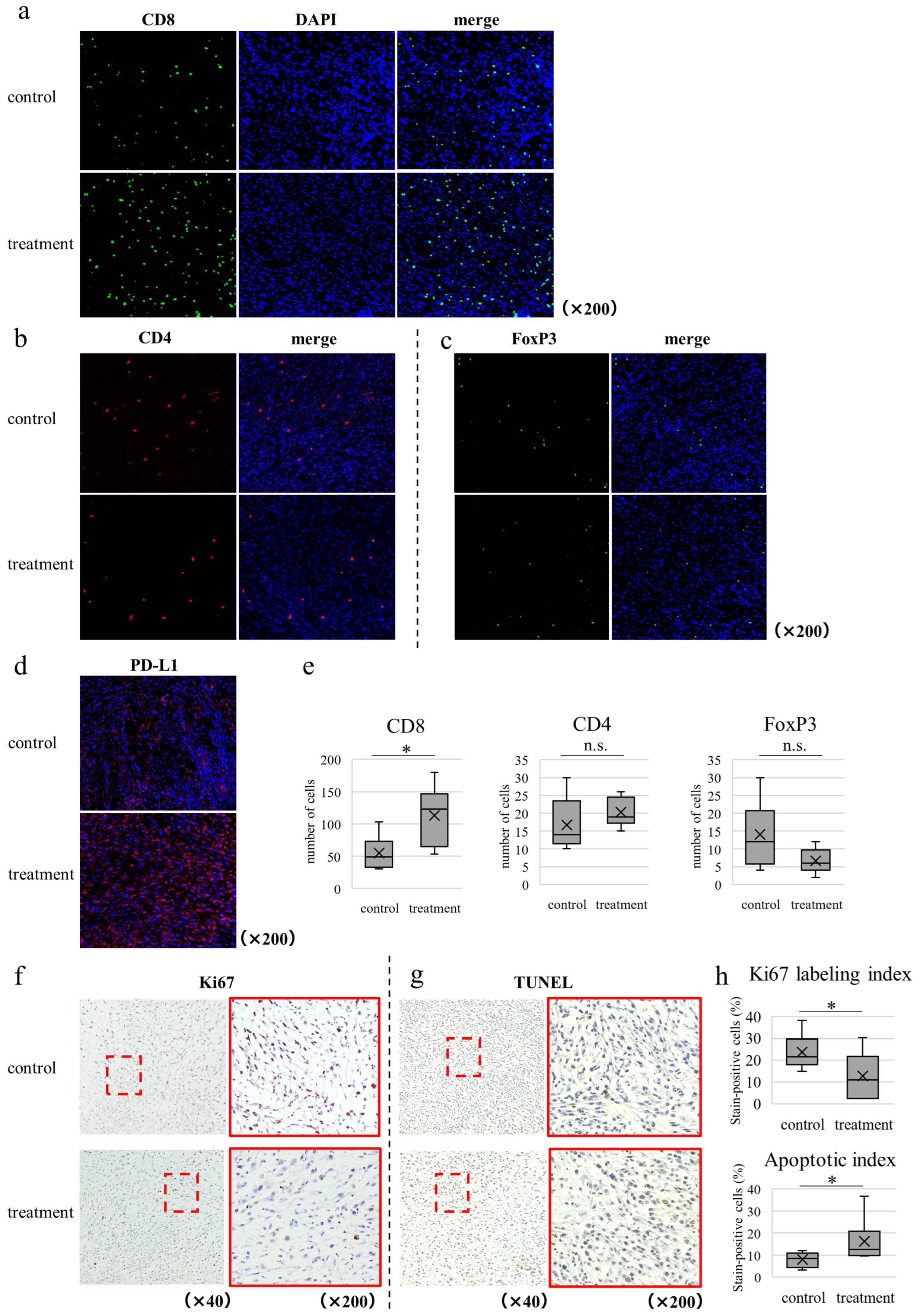 Cancers 16 03136 g005