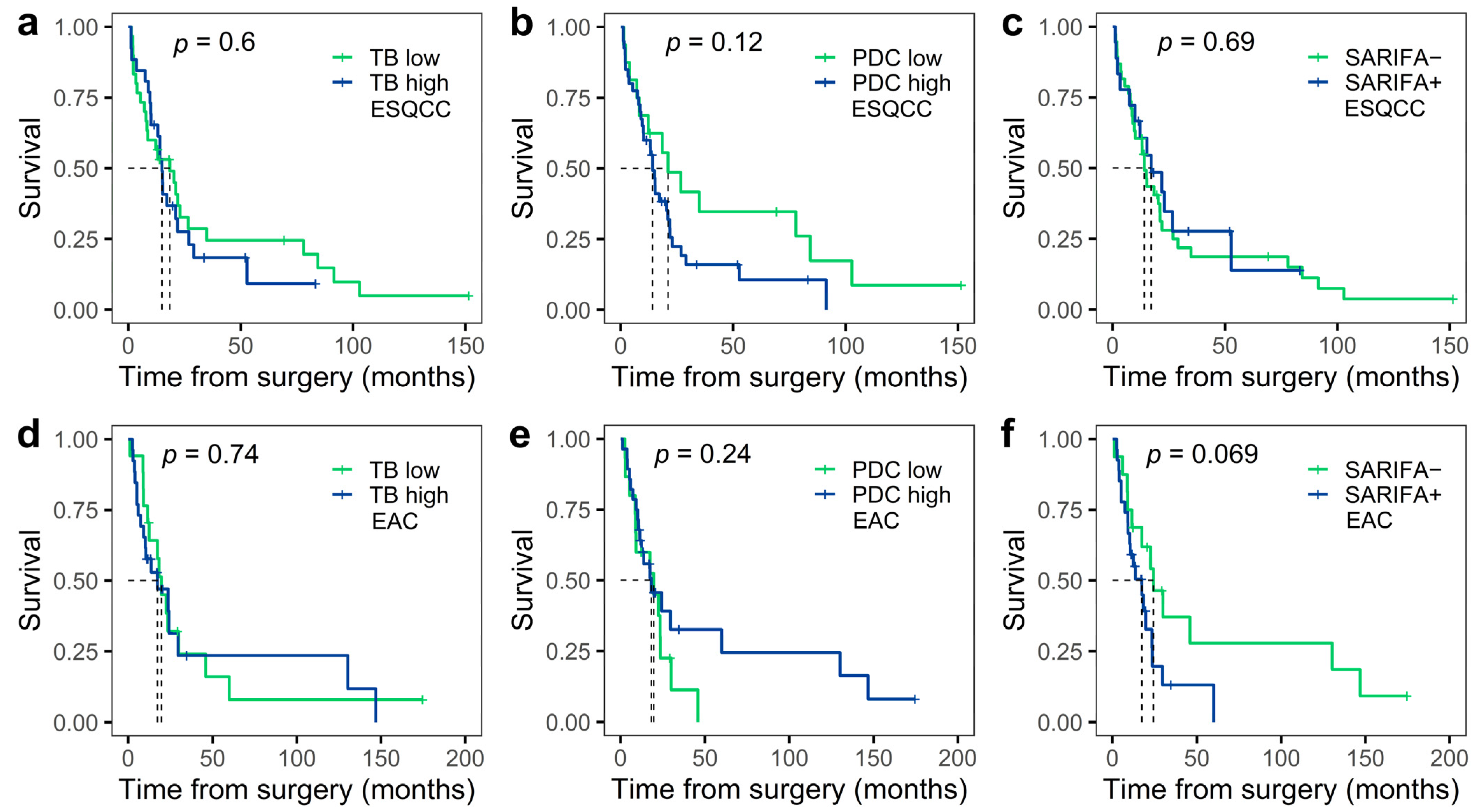 Cancers 16 03144 g003