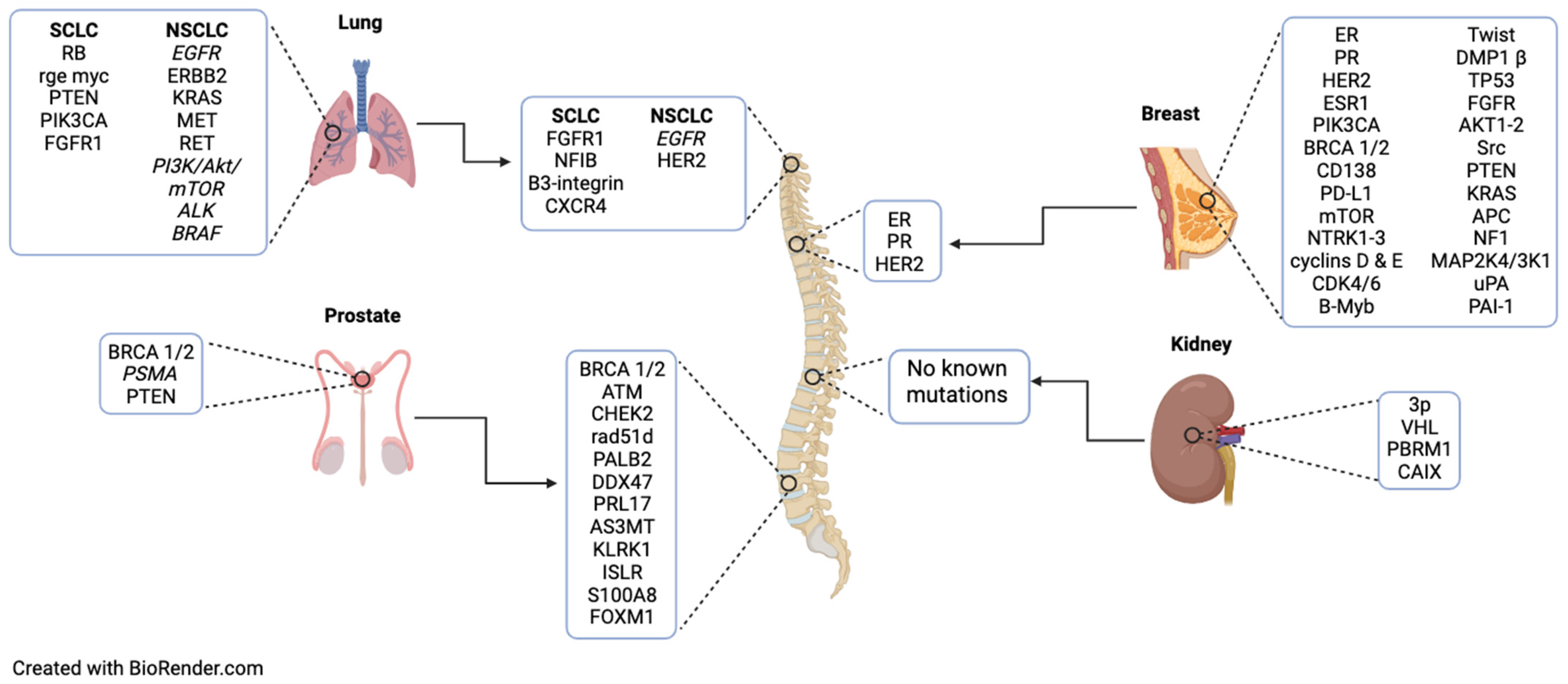 Cancers 16 03152 g001