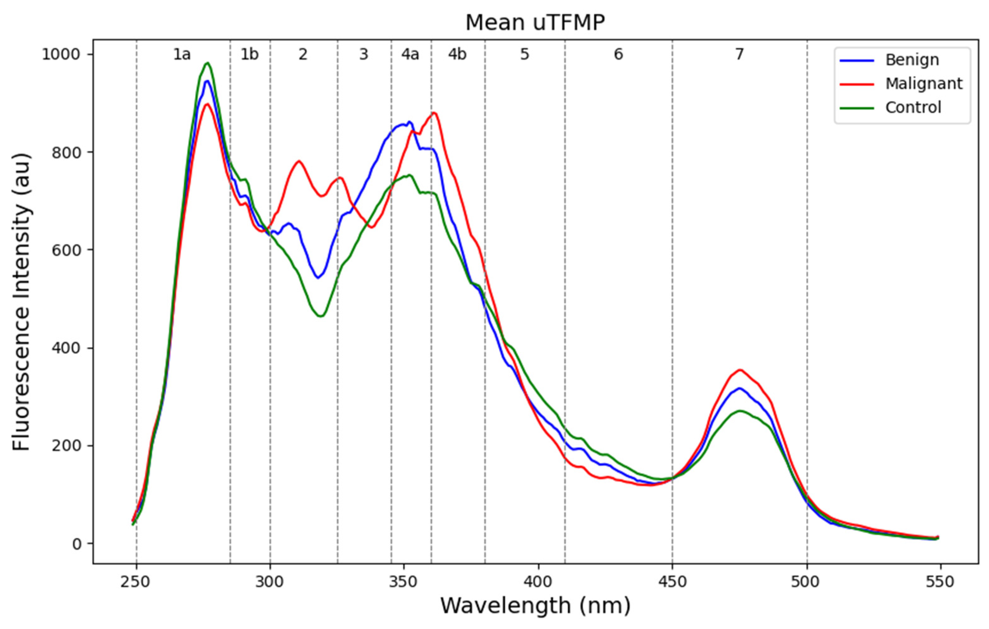 Cancers 16 03155 g002 Cancers 16 03155 g002