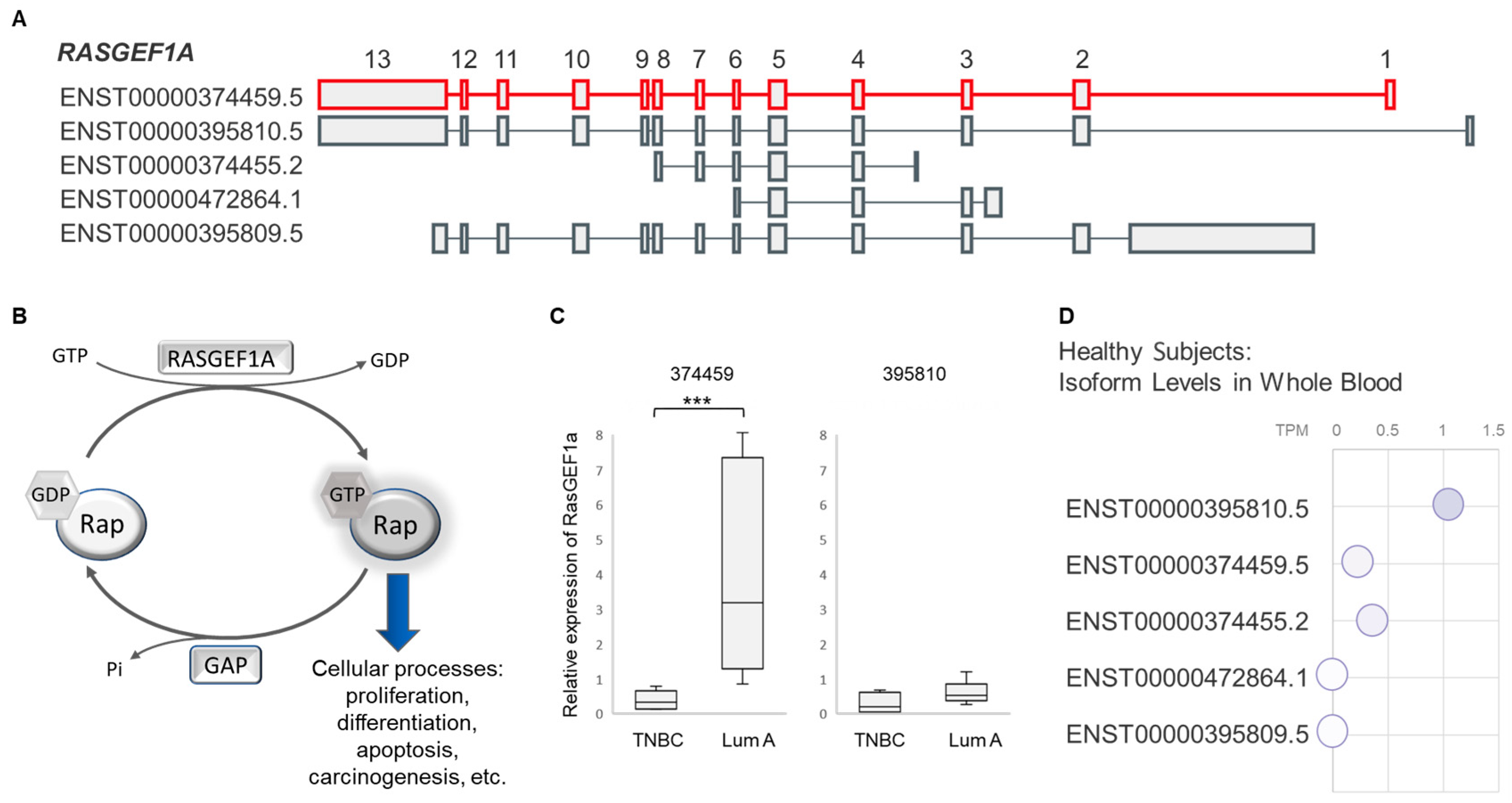 Cancers 16 03171 g002