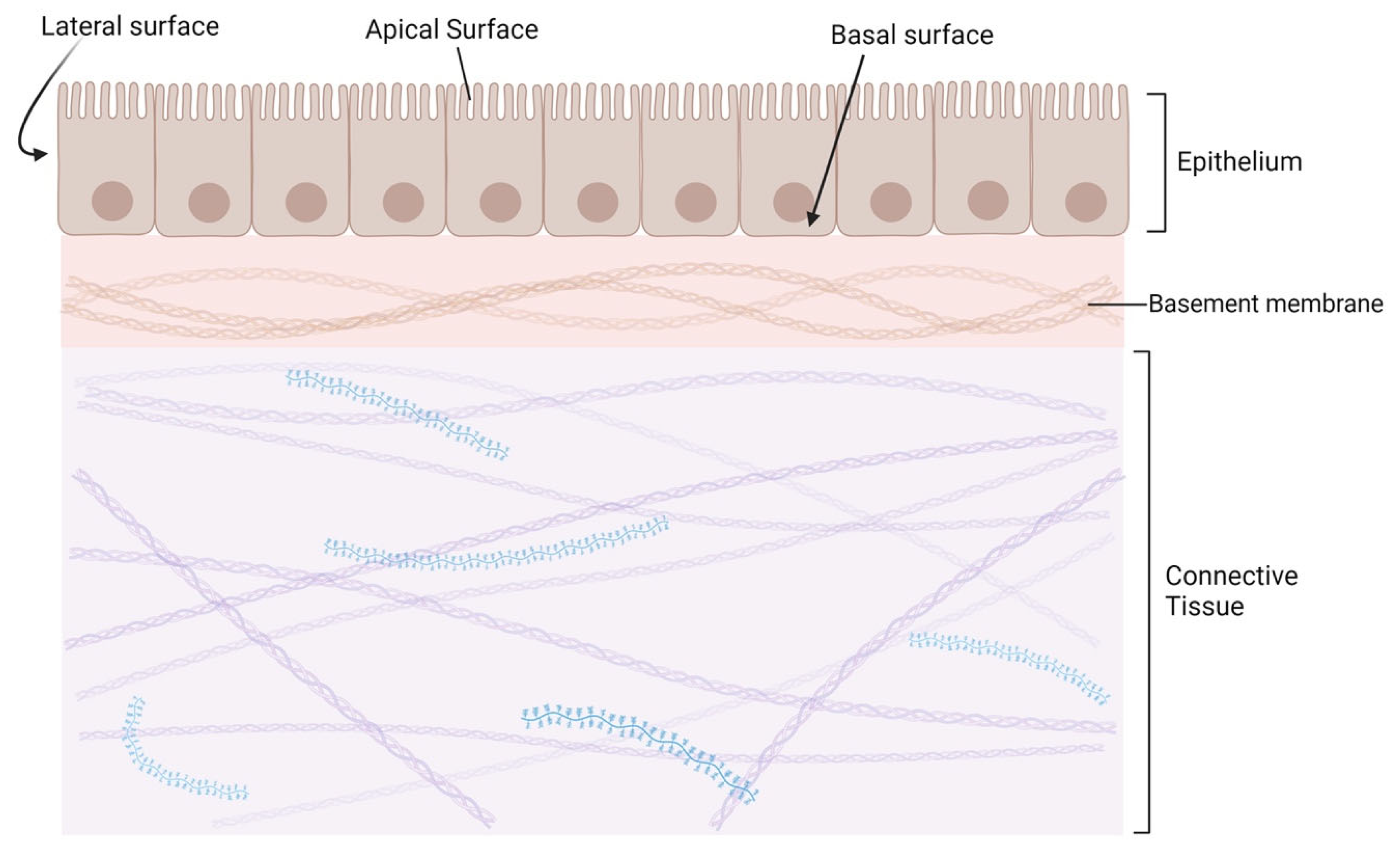 Cancers 16 03180 g001