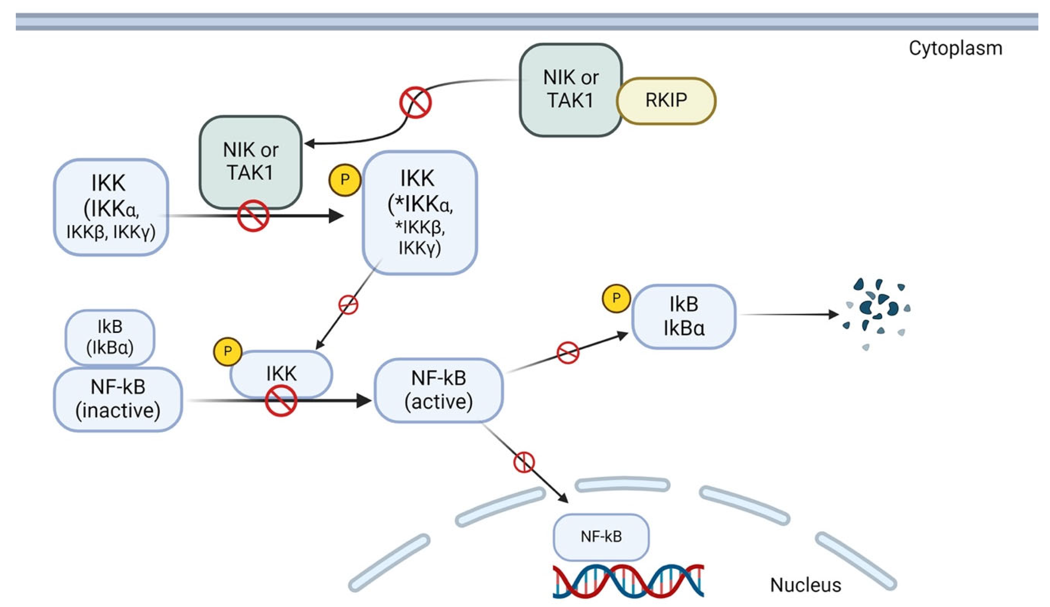 Cancers 16 03180 g004