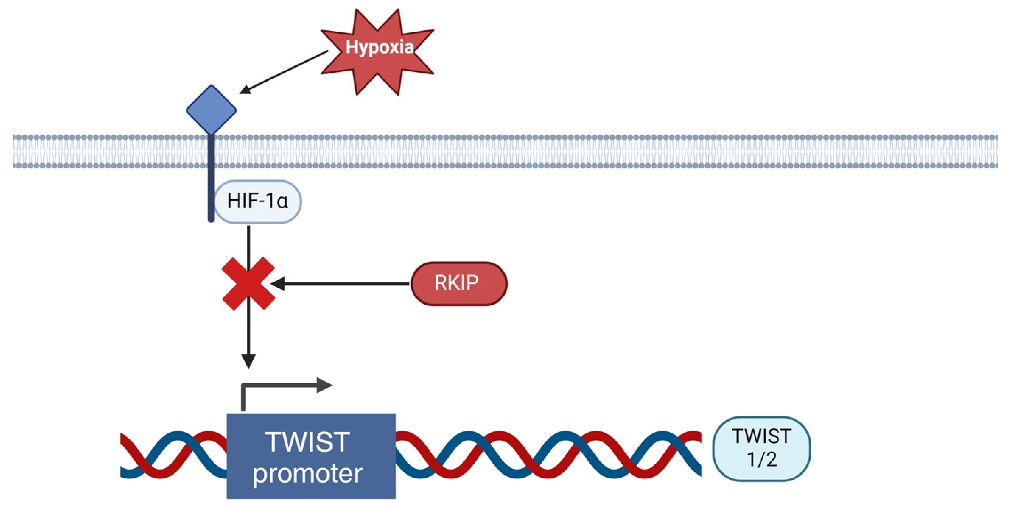 Cancers 16 03180 g006