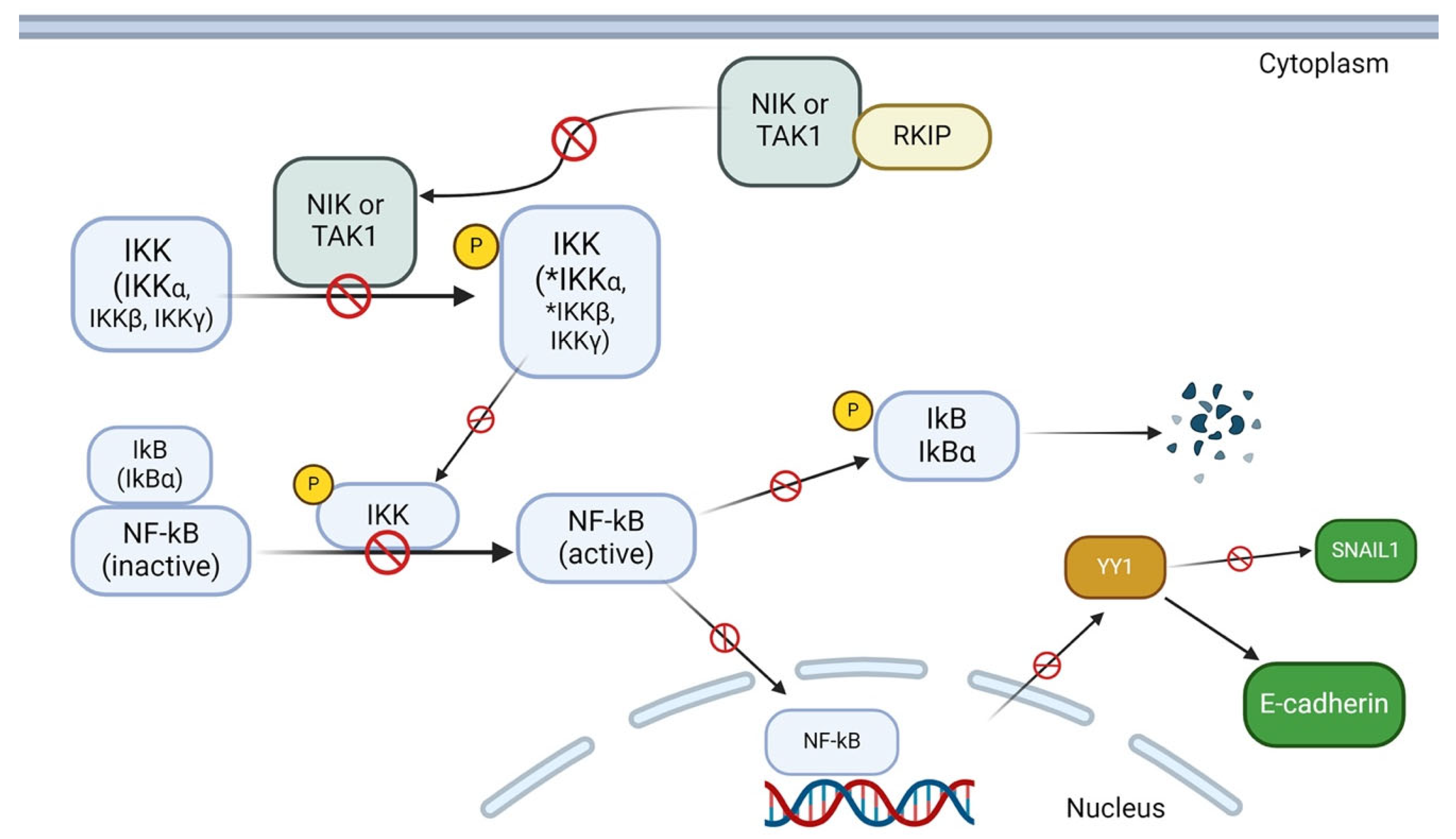 Cancers 16 03180 g007
