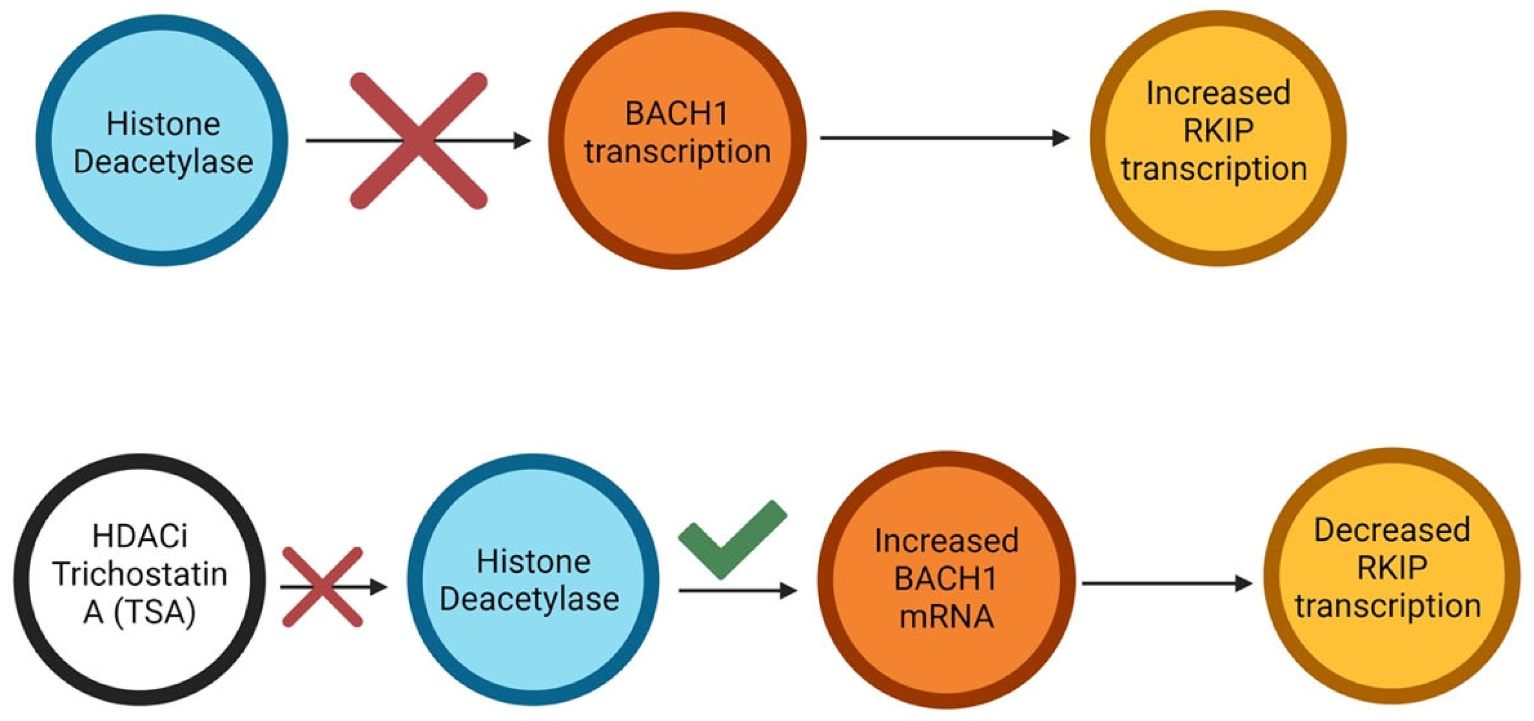 Cancers 16 03180 g008