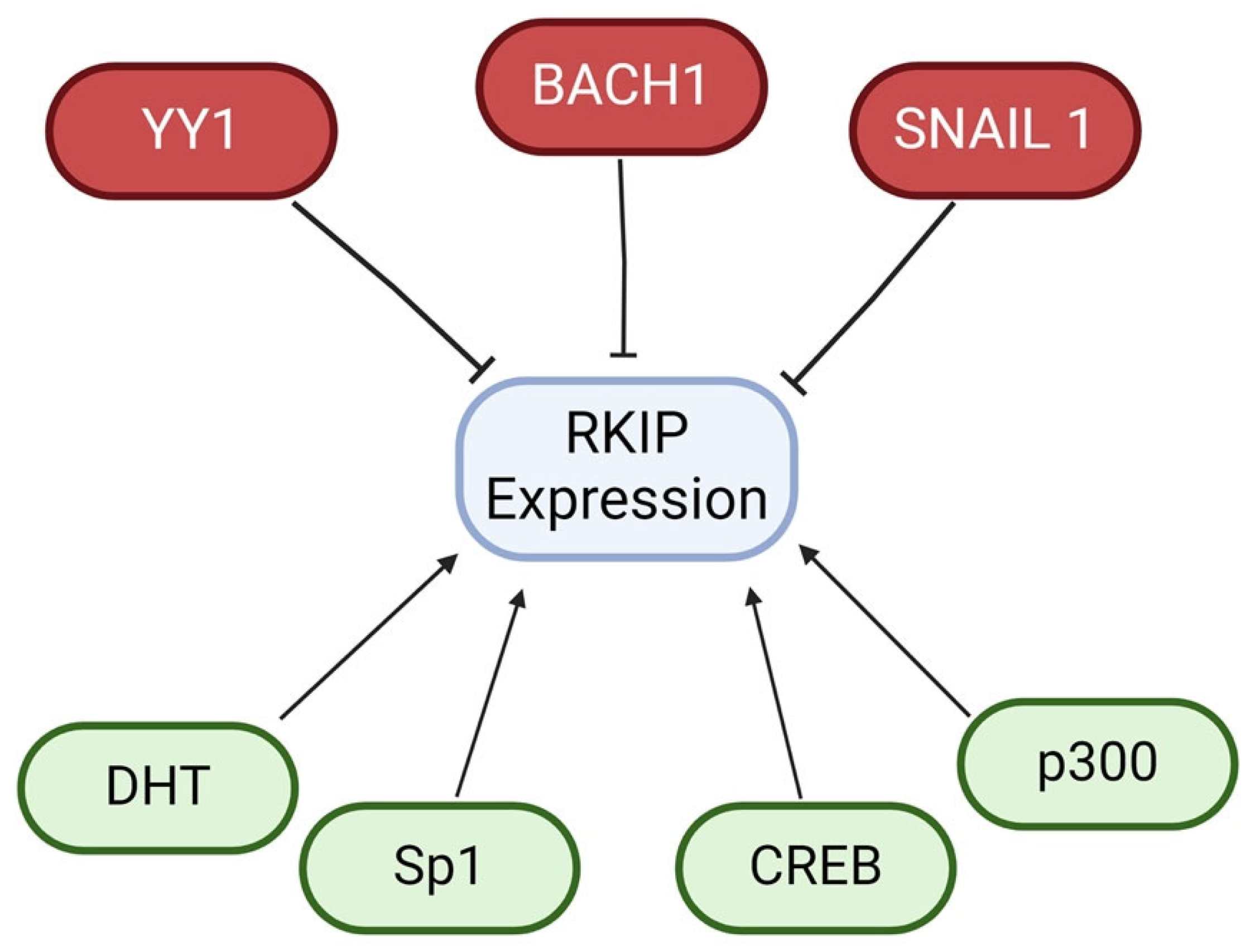 Cancers 16 03180 g009