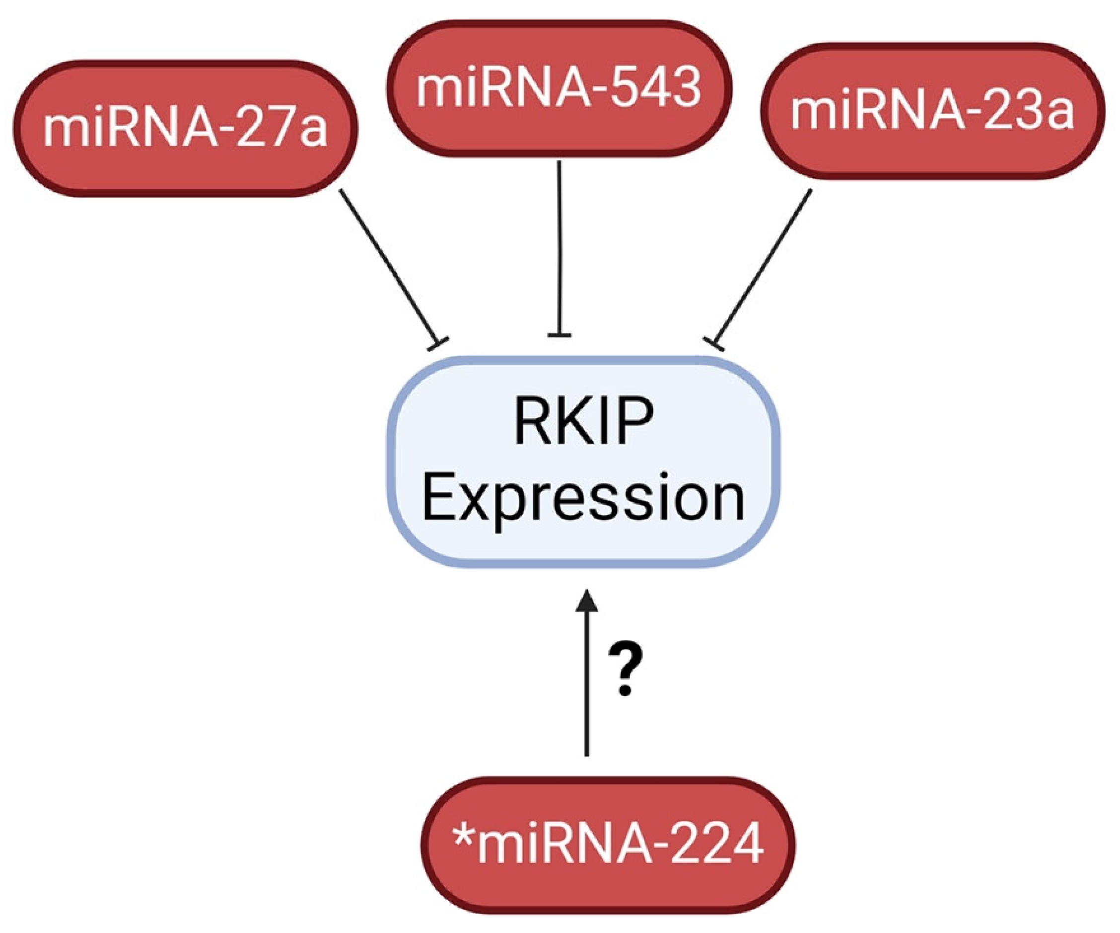 Cancers 16 03180 g010