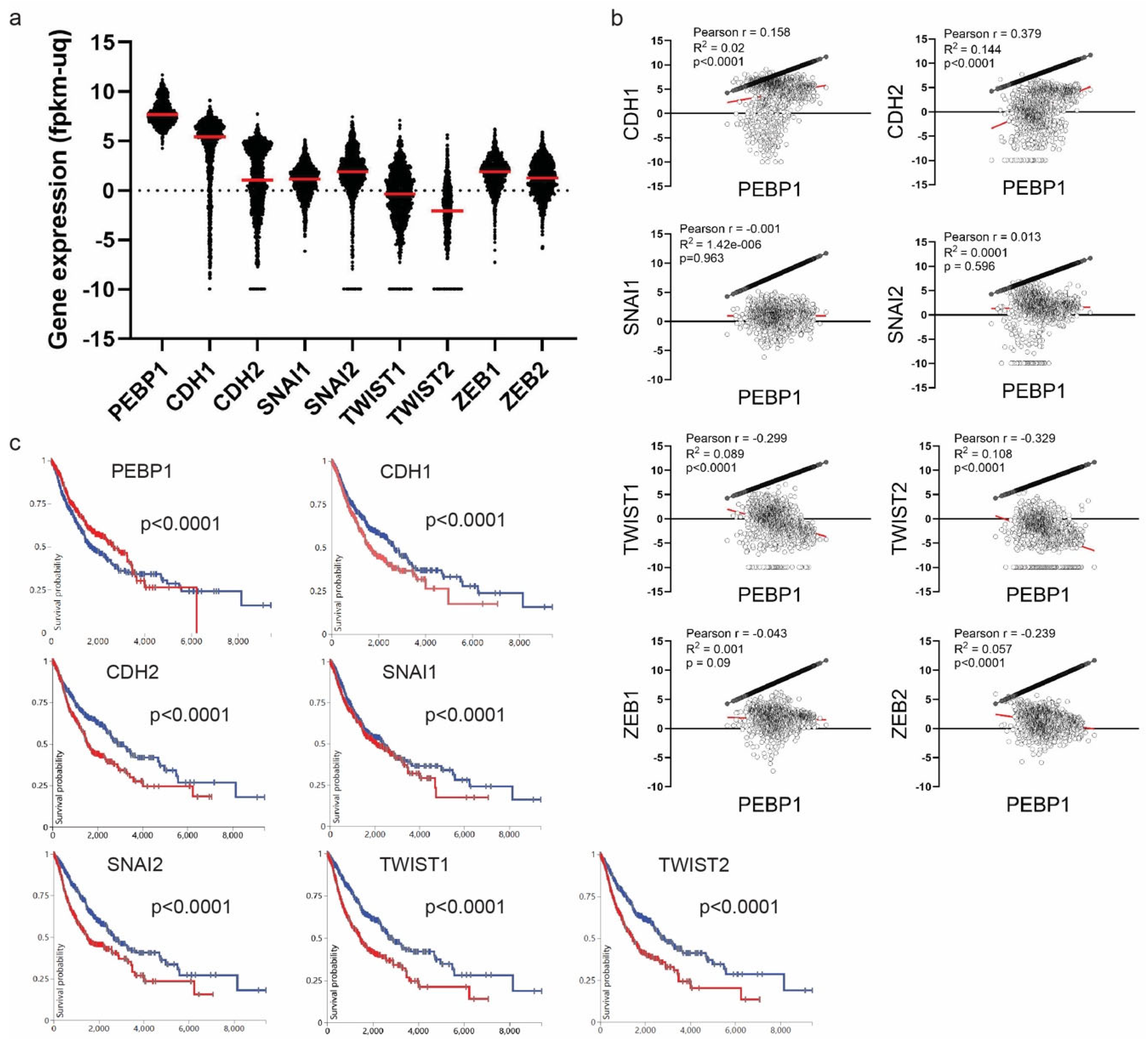 Cancers 16 03180 g011