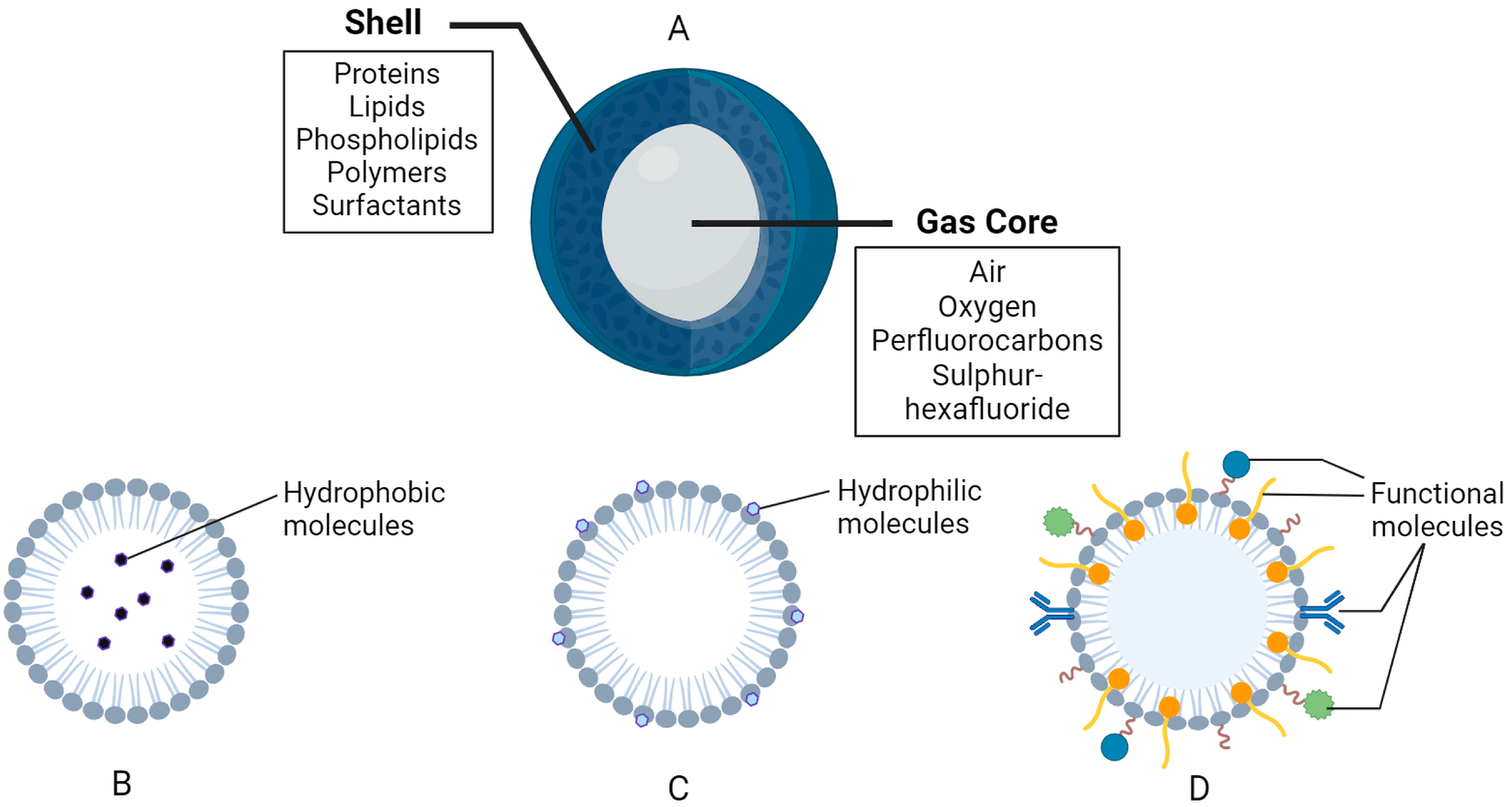 Cancers 16 03181 g002