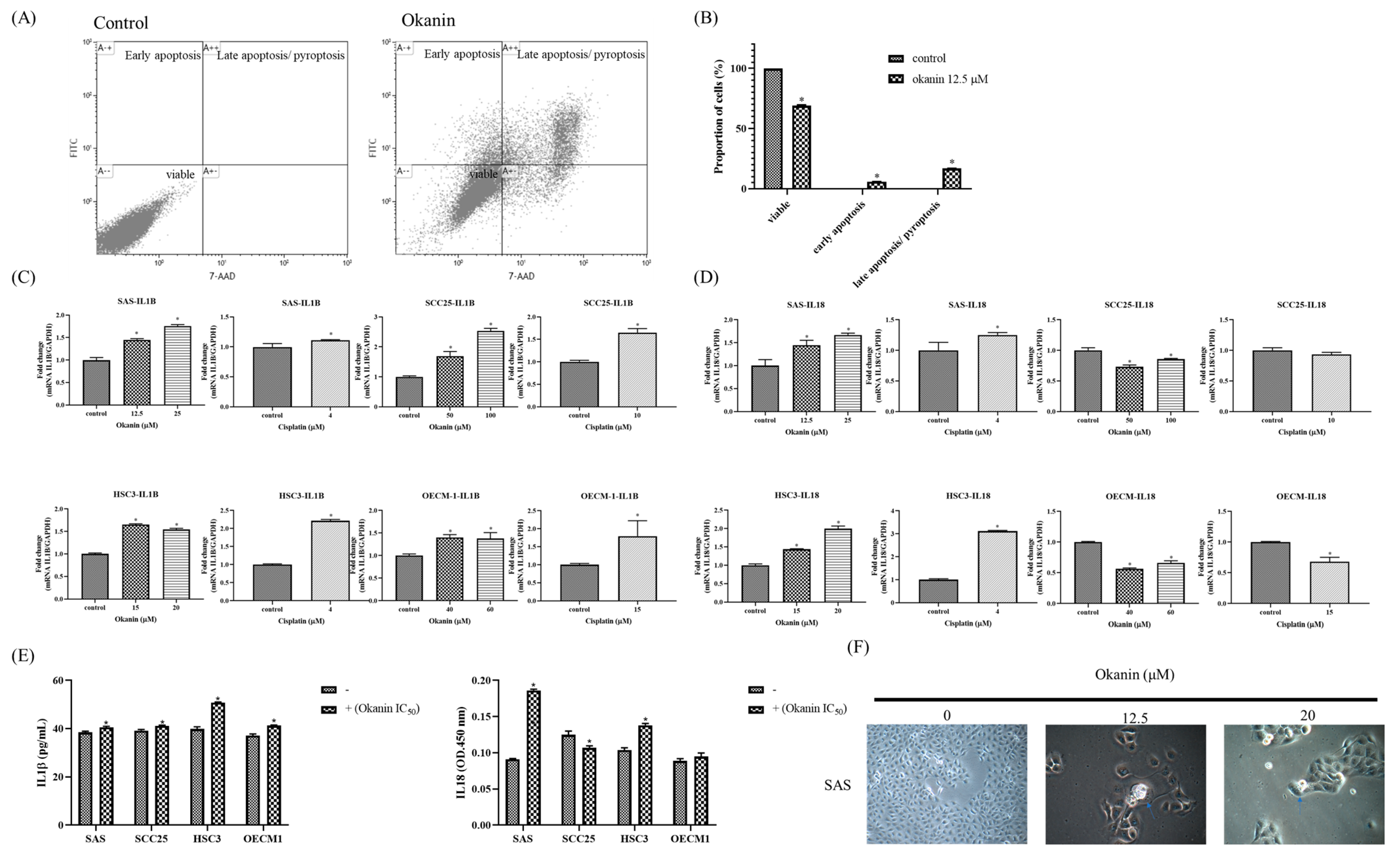 Cancers 16 03195 g003