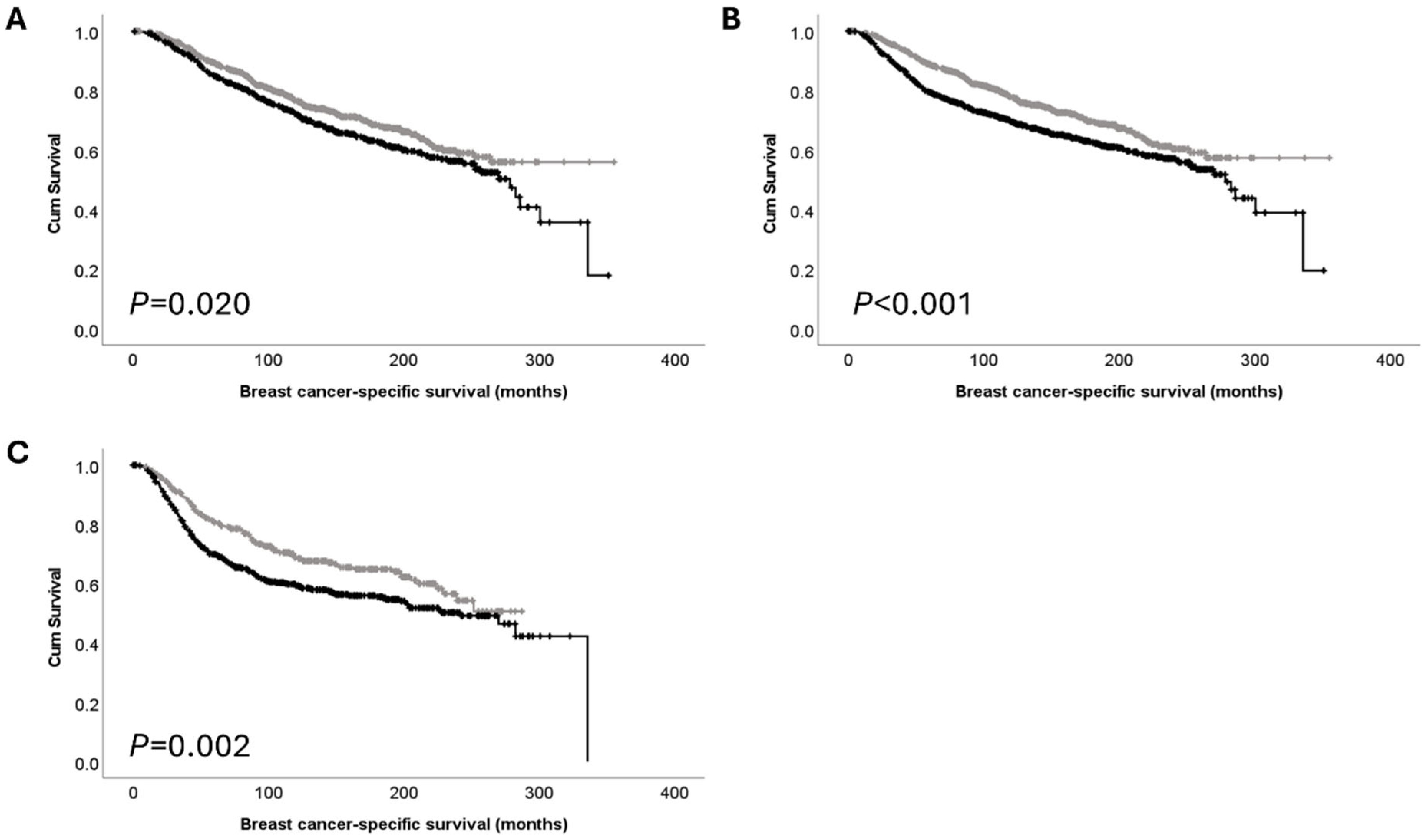 Cancers 16 03206 g004