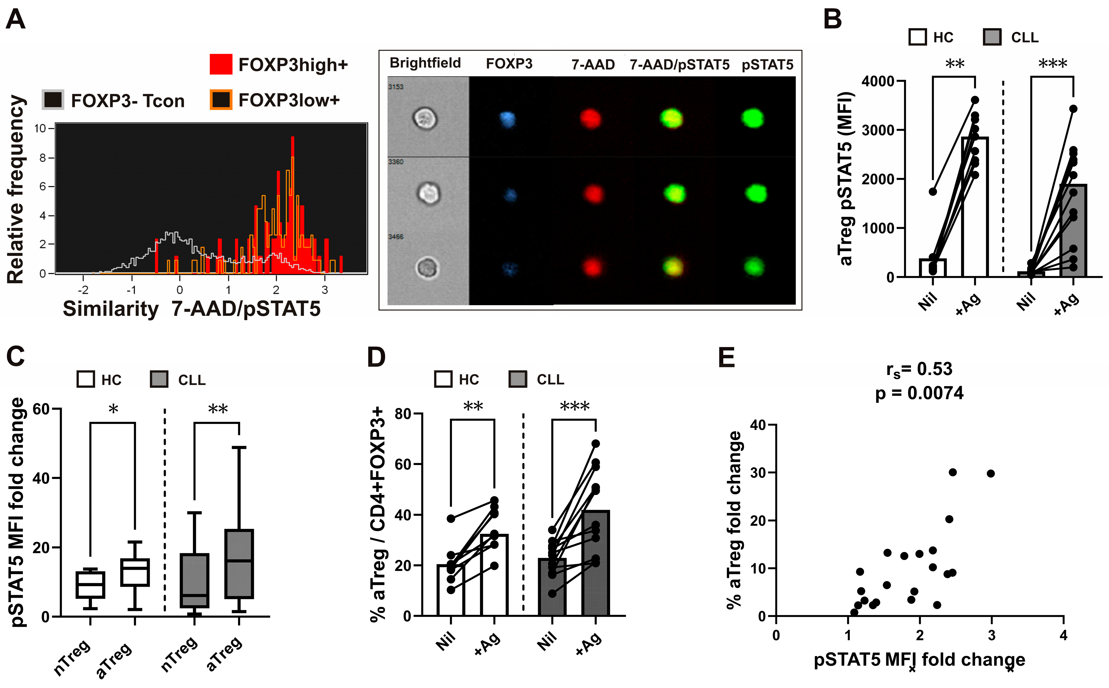 Cancers 16 03228 g002