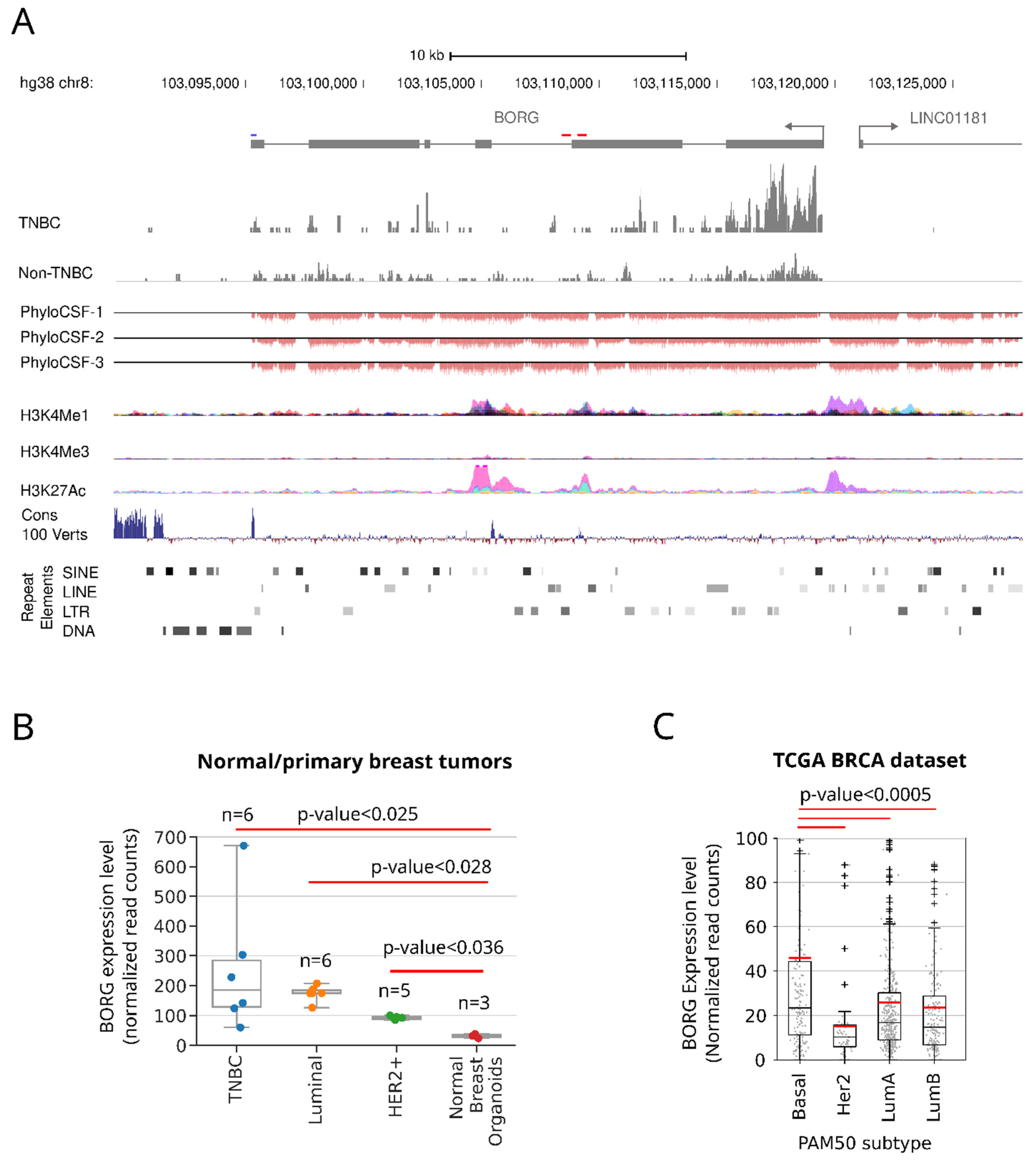 Cancers 16 03241 g001