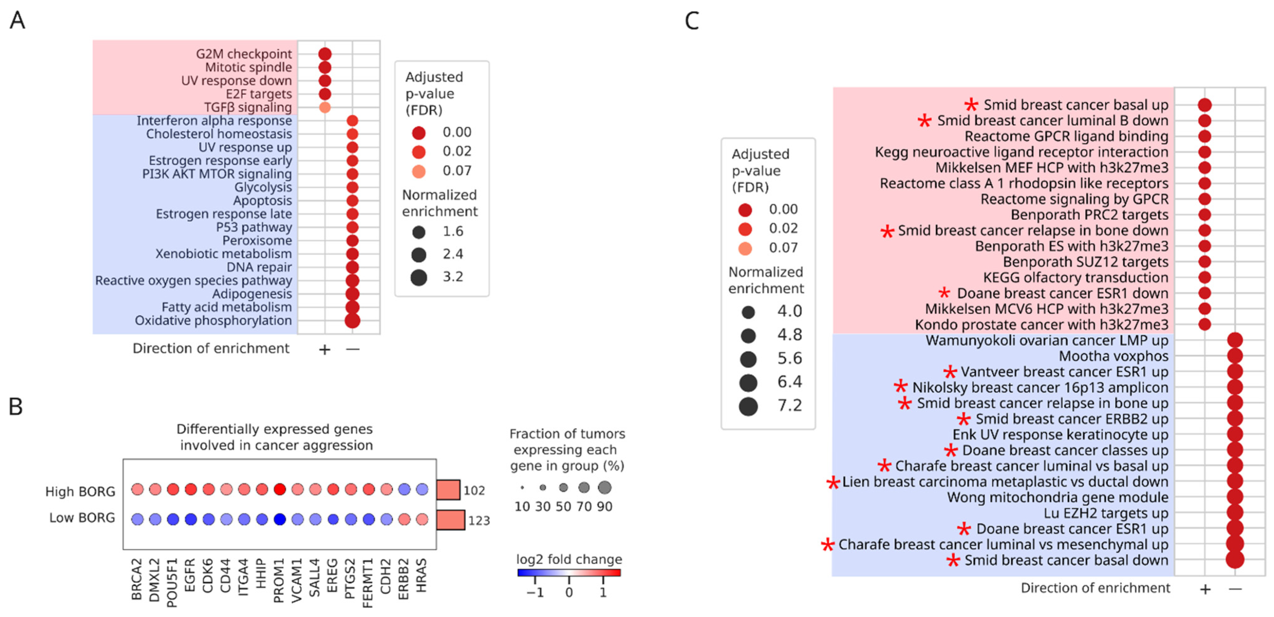 Cancers 16 03241 g002