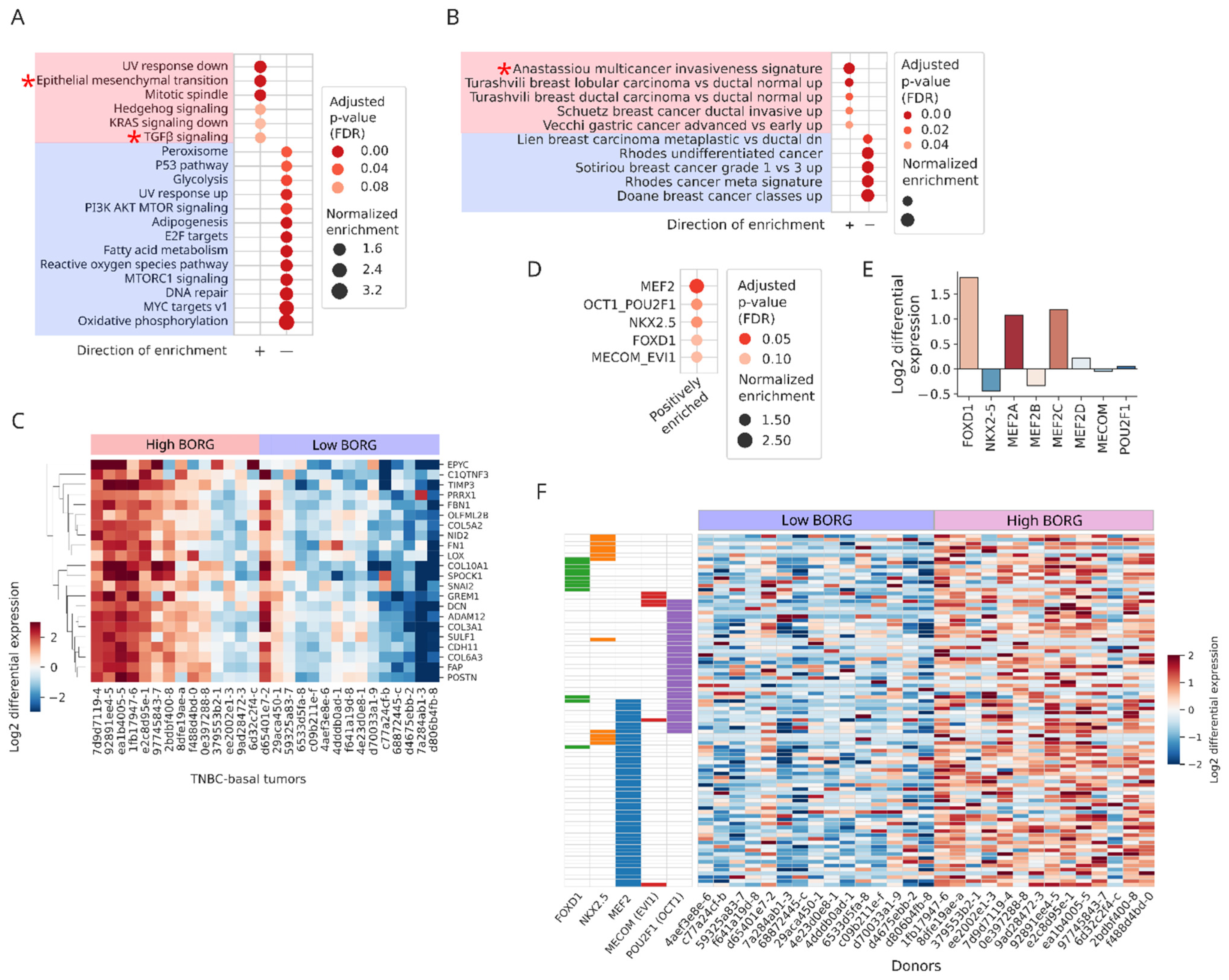 Cancers 16 03241 g004