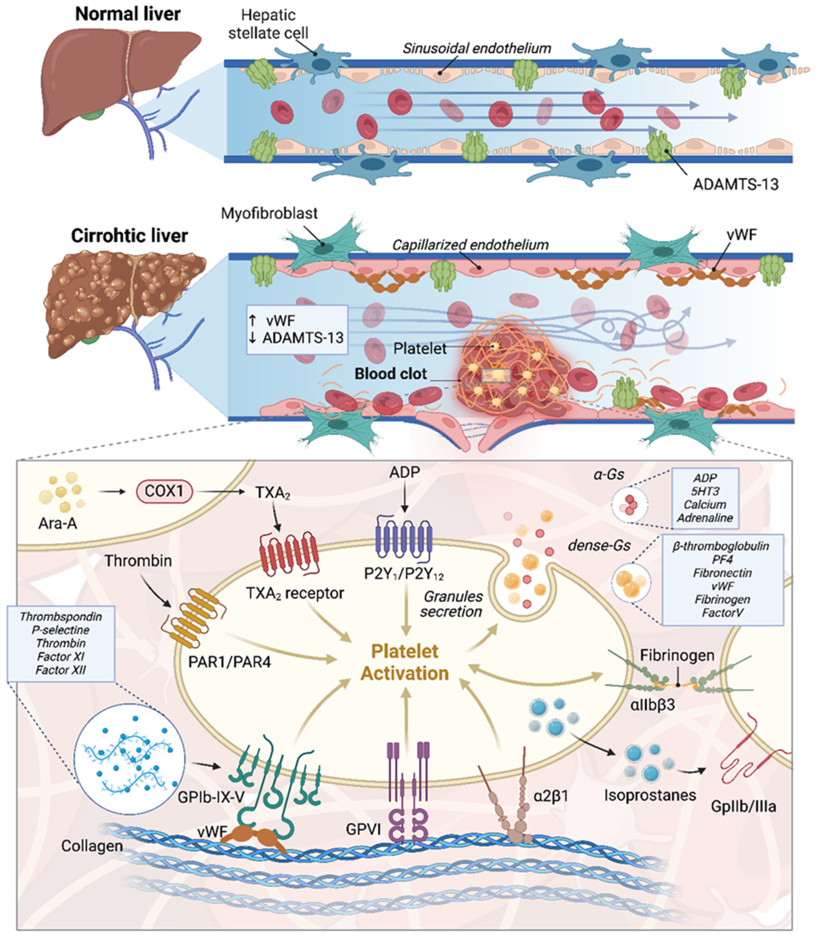 Cancers 16 03247 g001