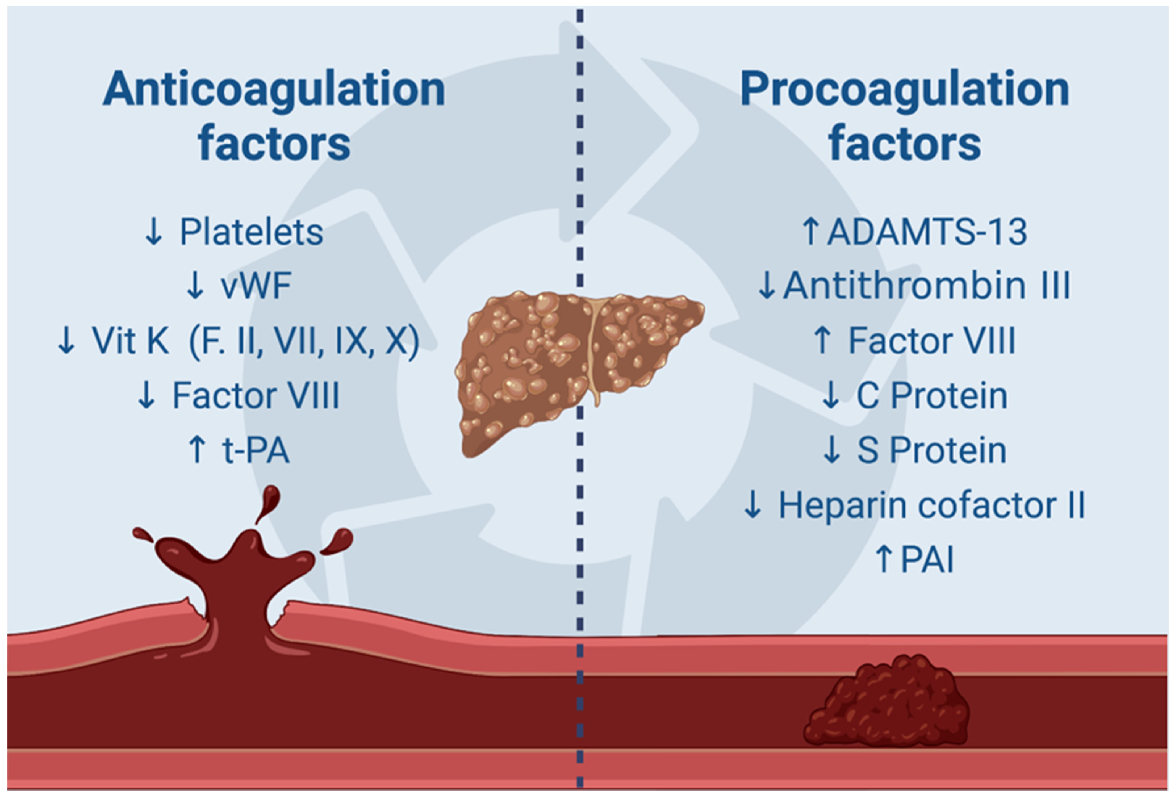 Cancers 16 03247 g002