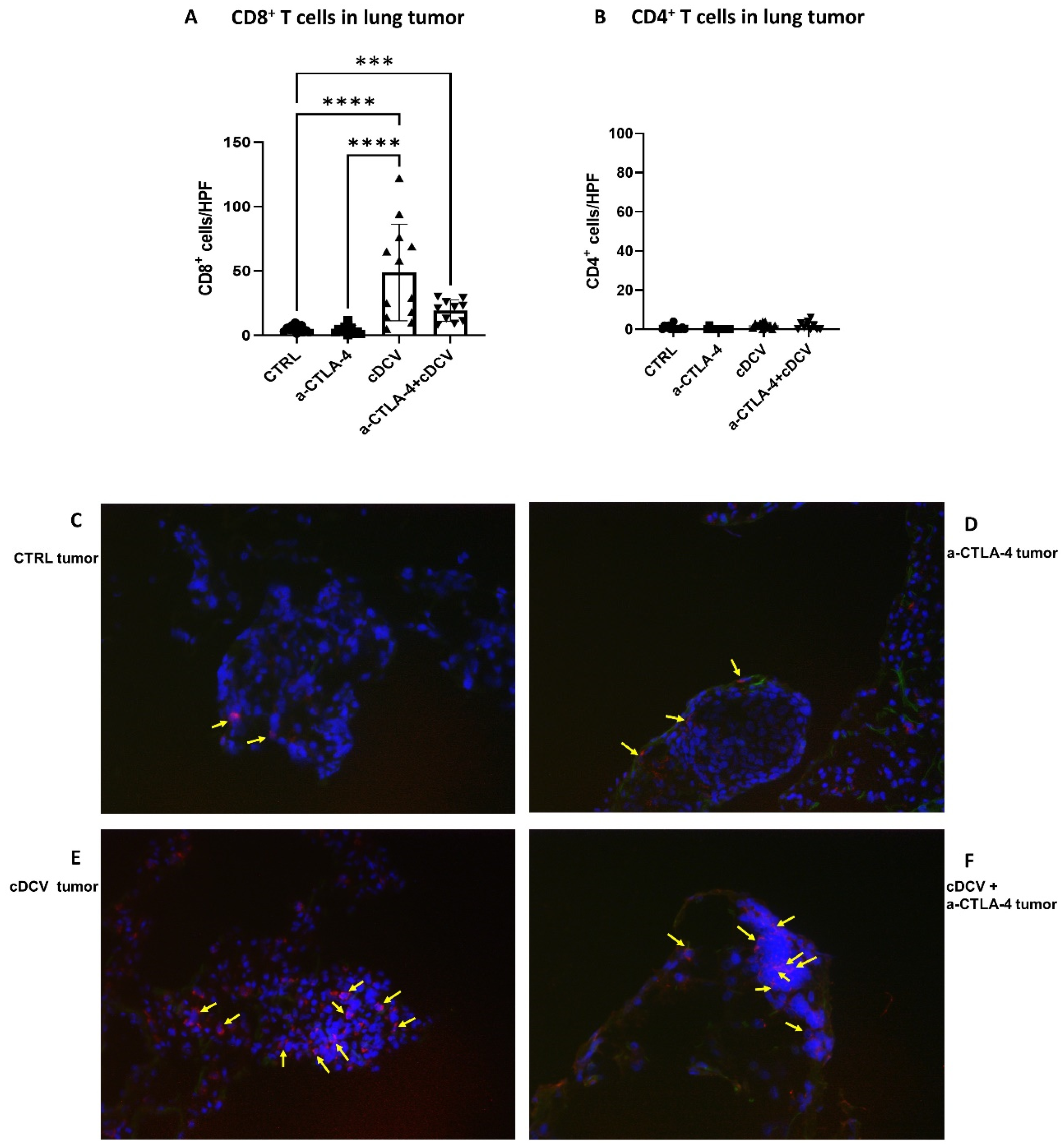 Cancers 16 03251 g005