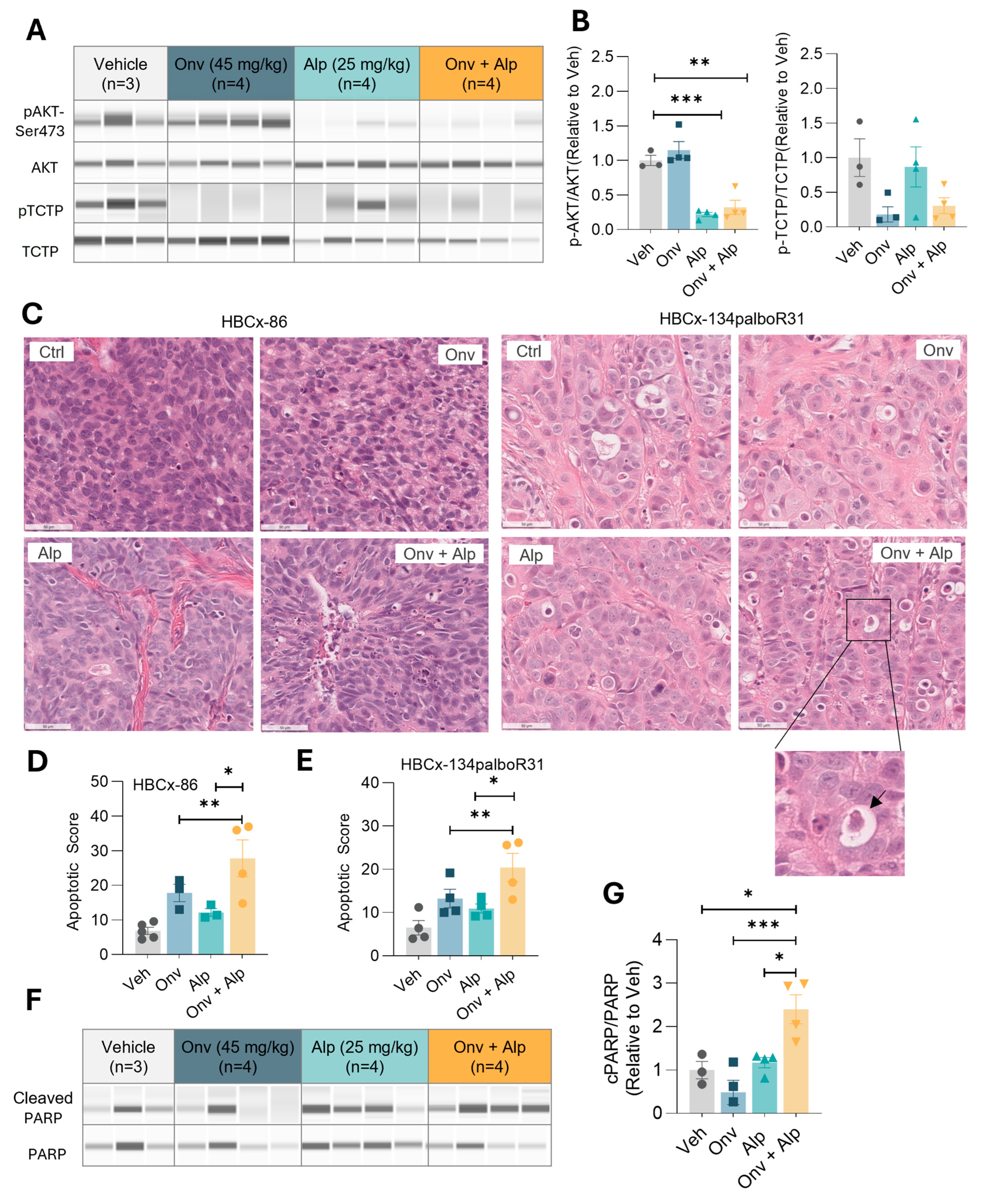 Cancers 16 03259 g004