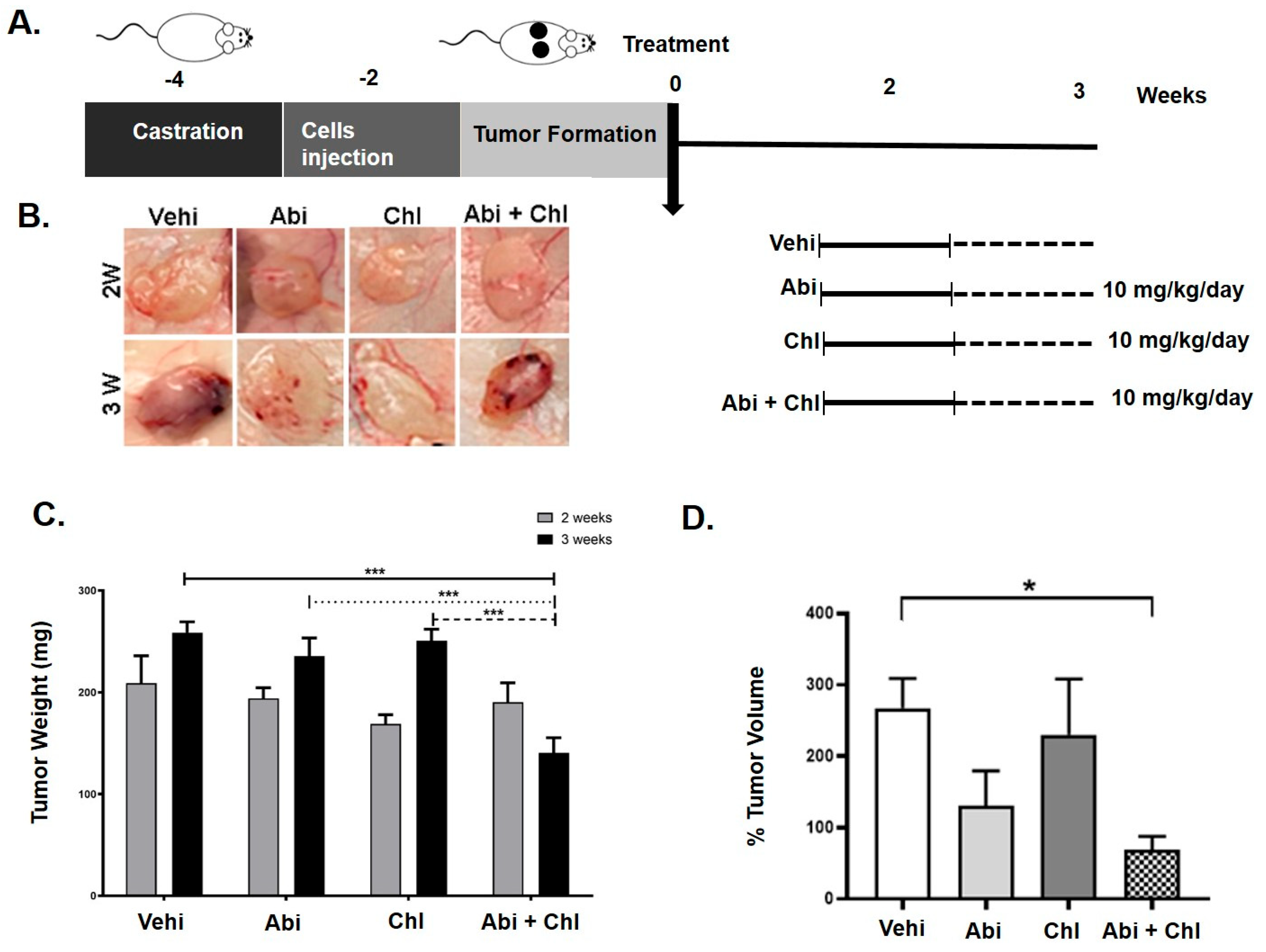 Cancers 16 03261 g001