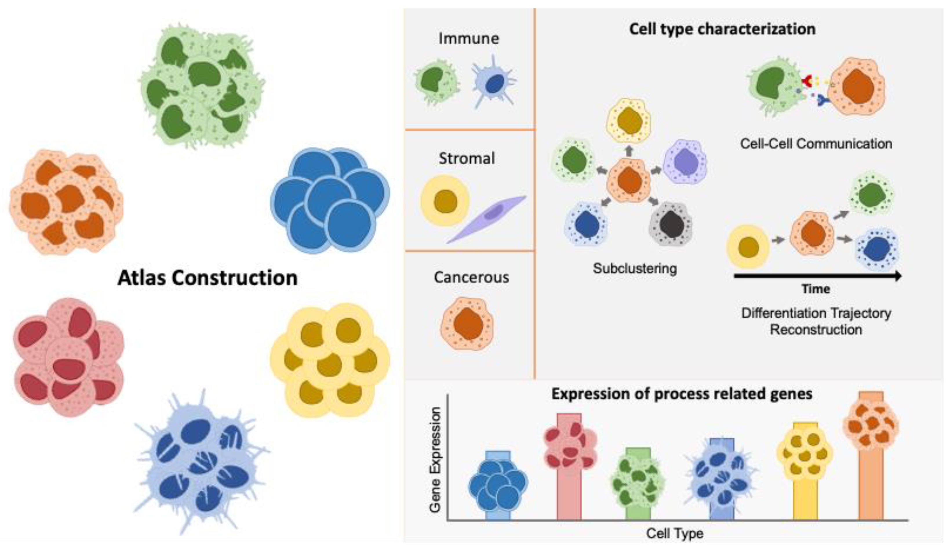 Cancers 16 03265 g001