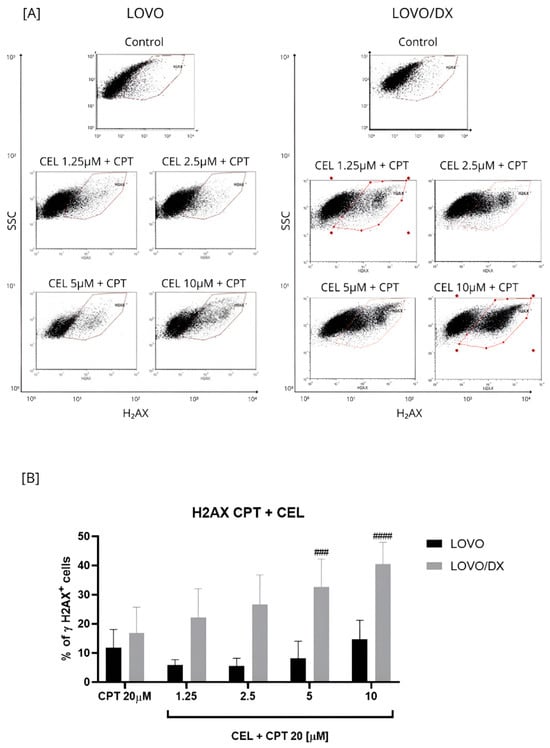 Cancers 16 03279 g003