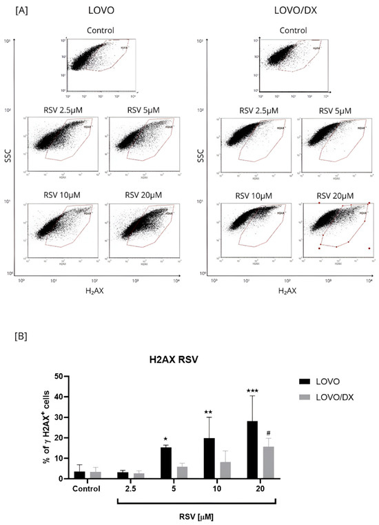 Cancers 16 03279 g004