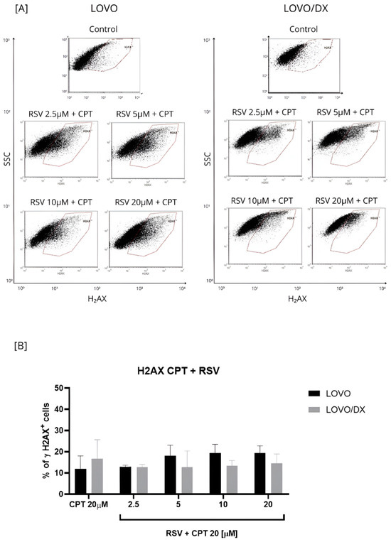 Cancers 16 03279 g005