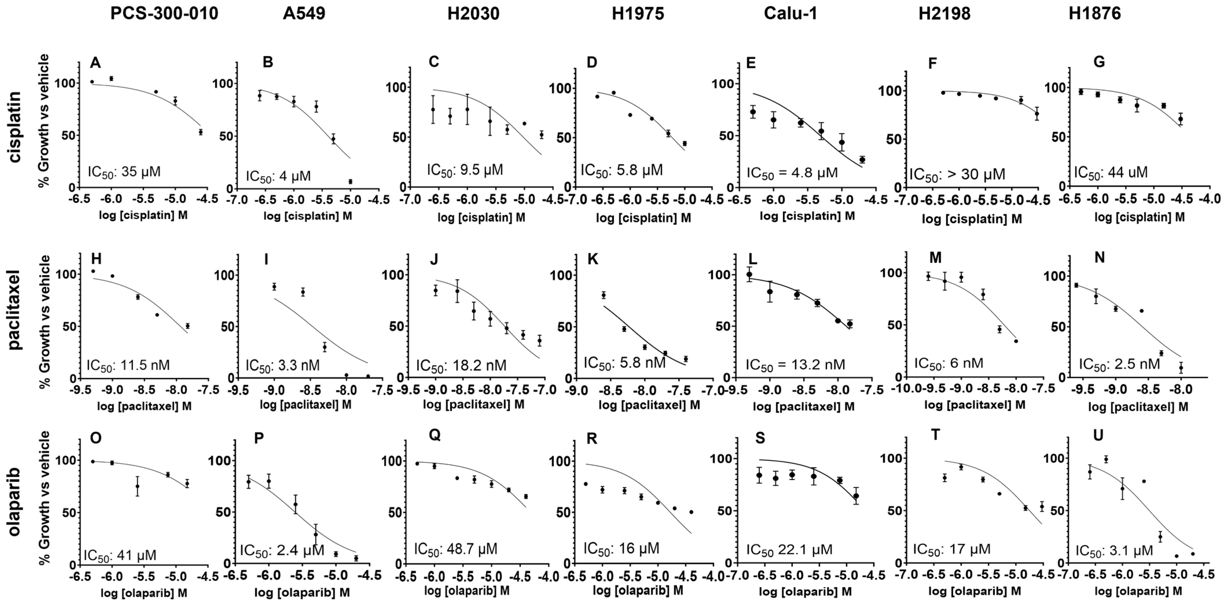 Cancers 16 03291 g003