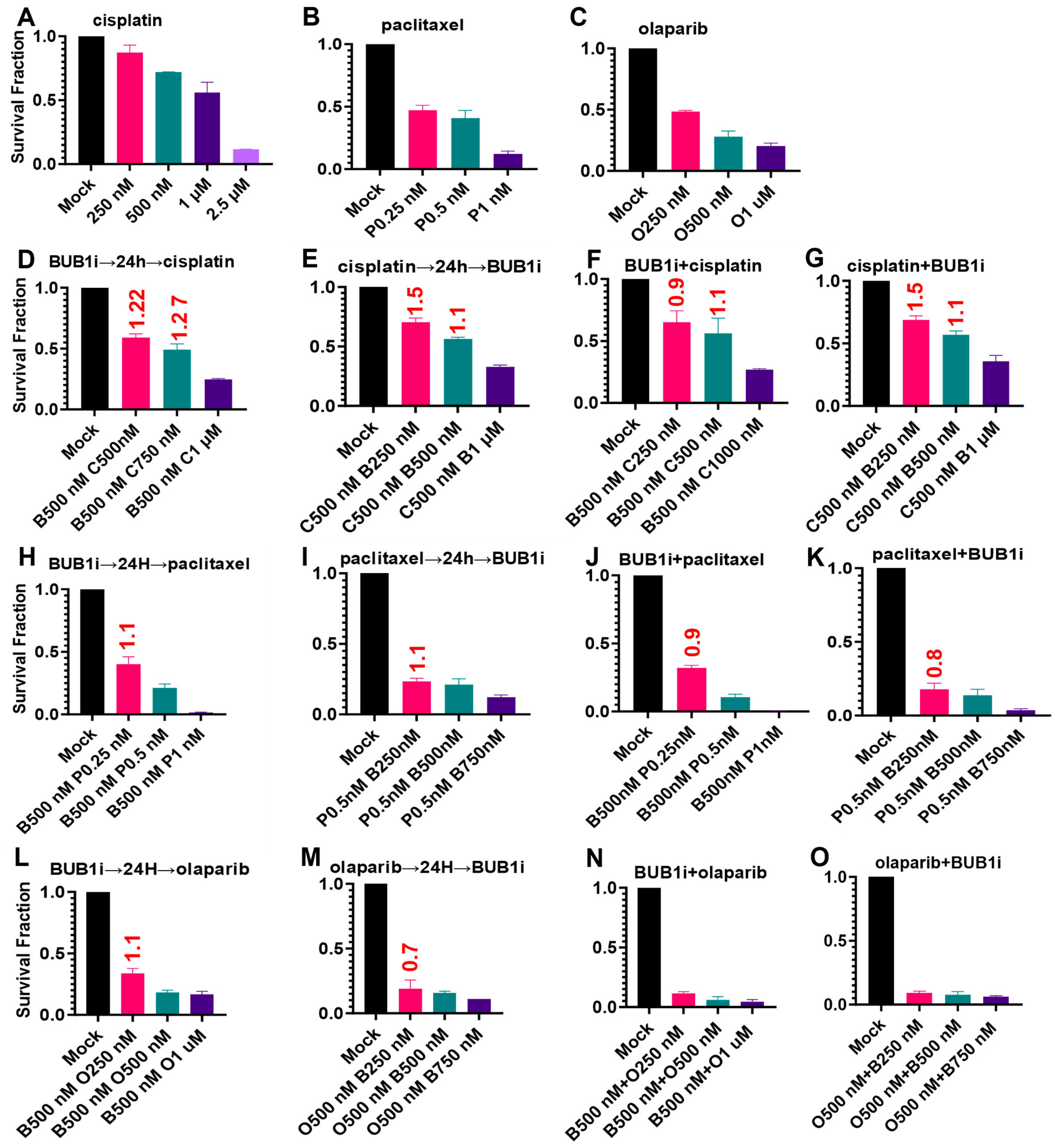 Cancers 16 03291 g004