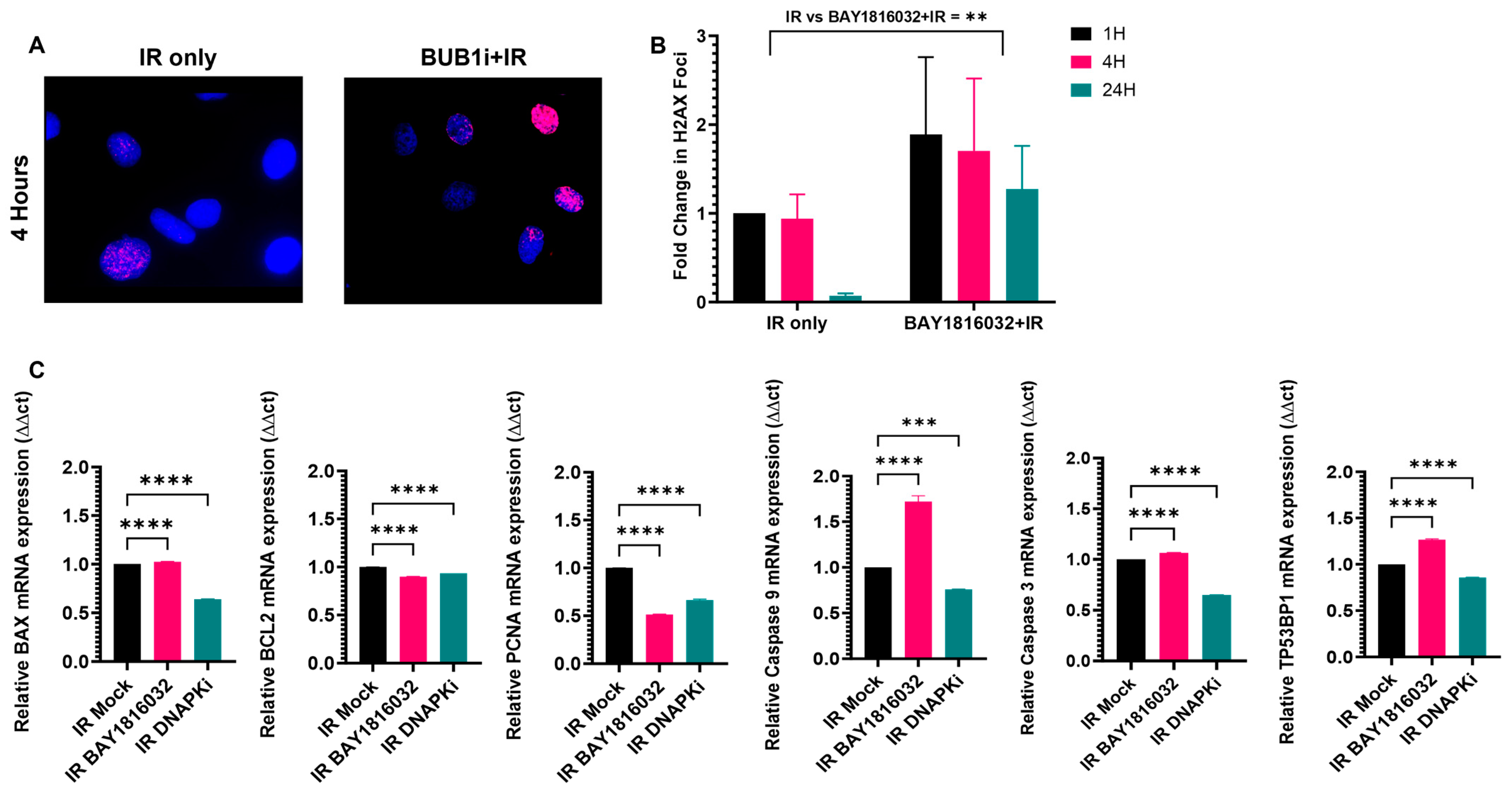 Cancers 16 03291 g008