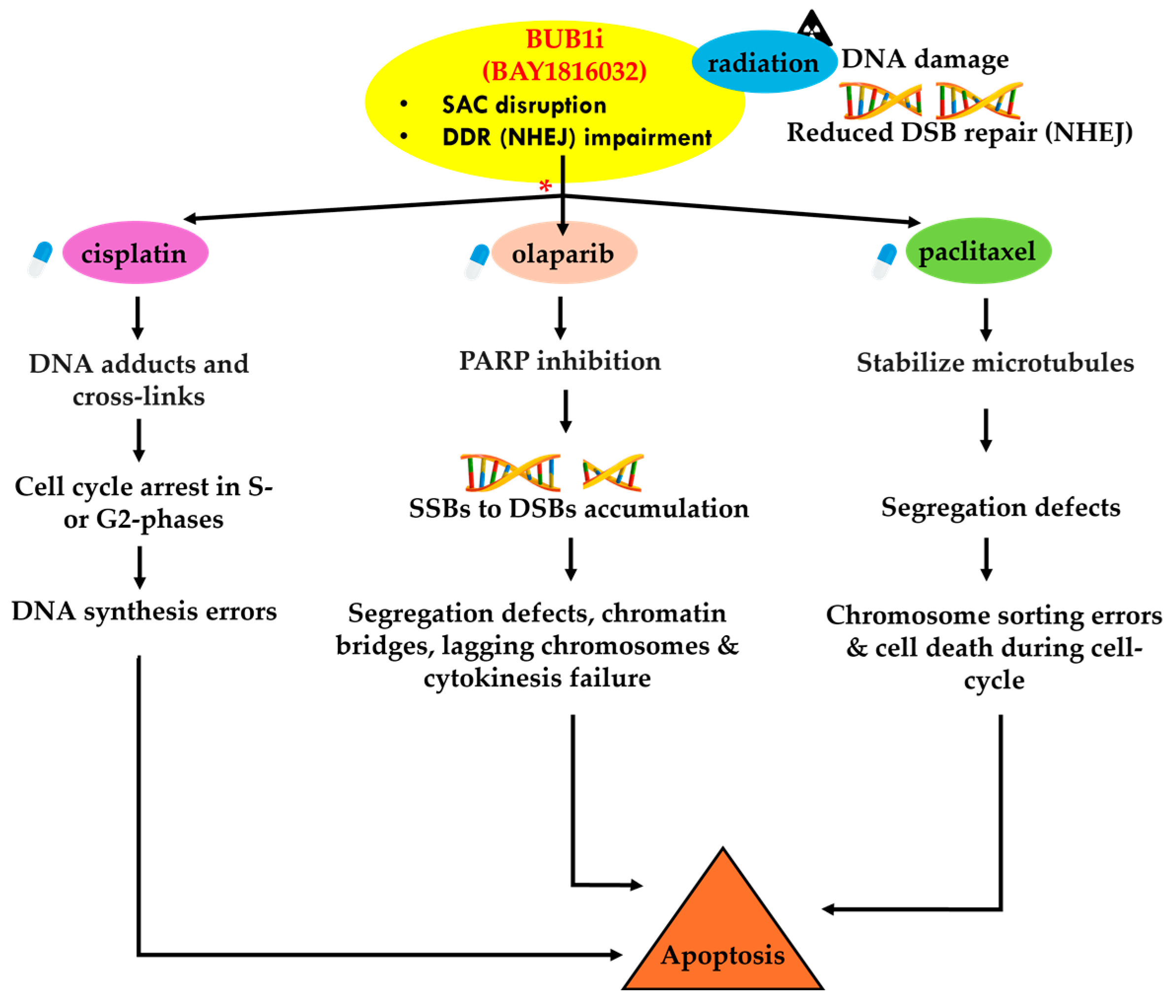 Cancers 16 03291 g009