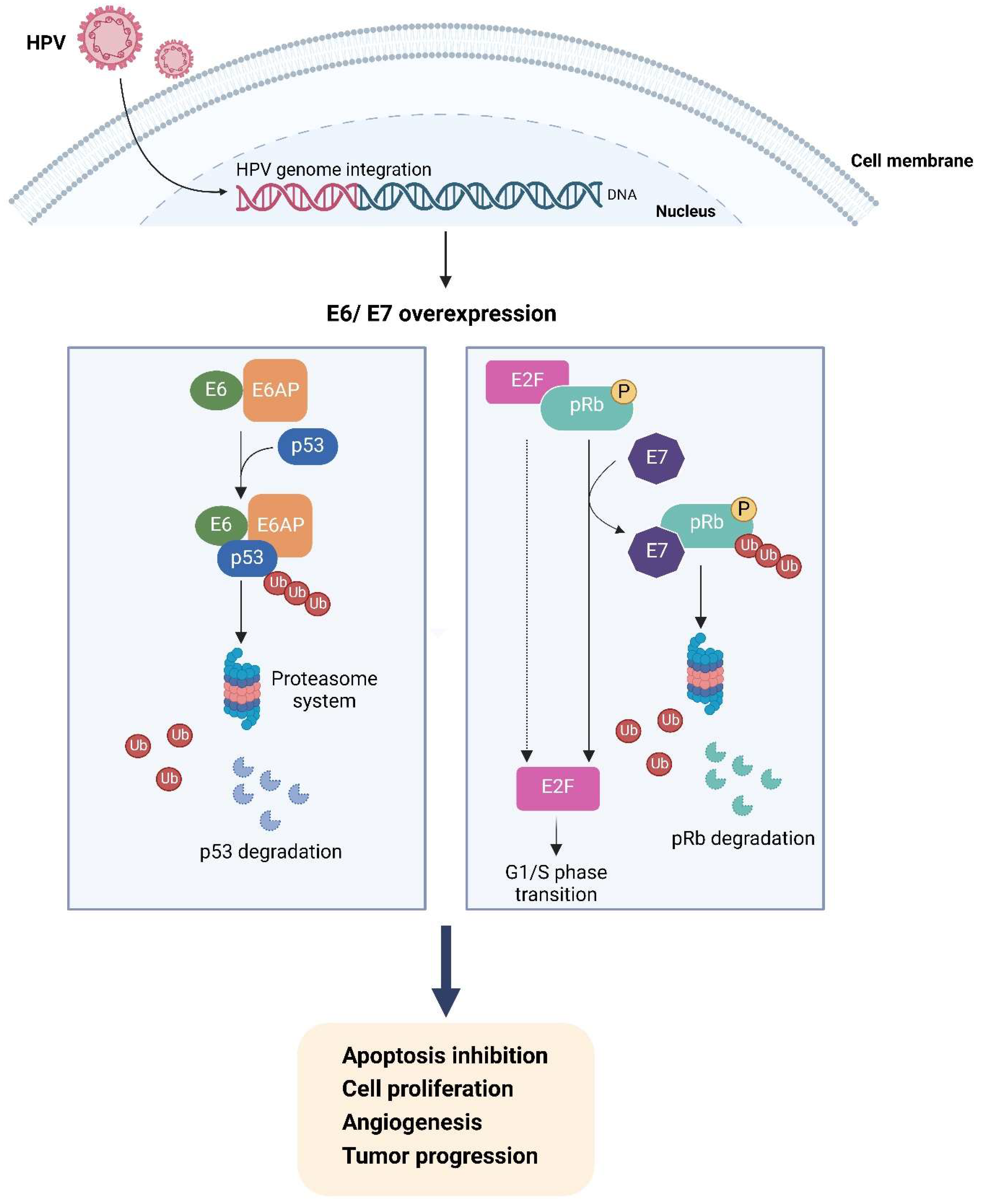 Cancers 16 03325 g002